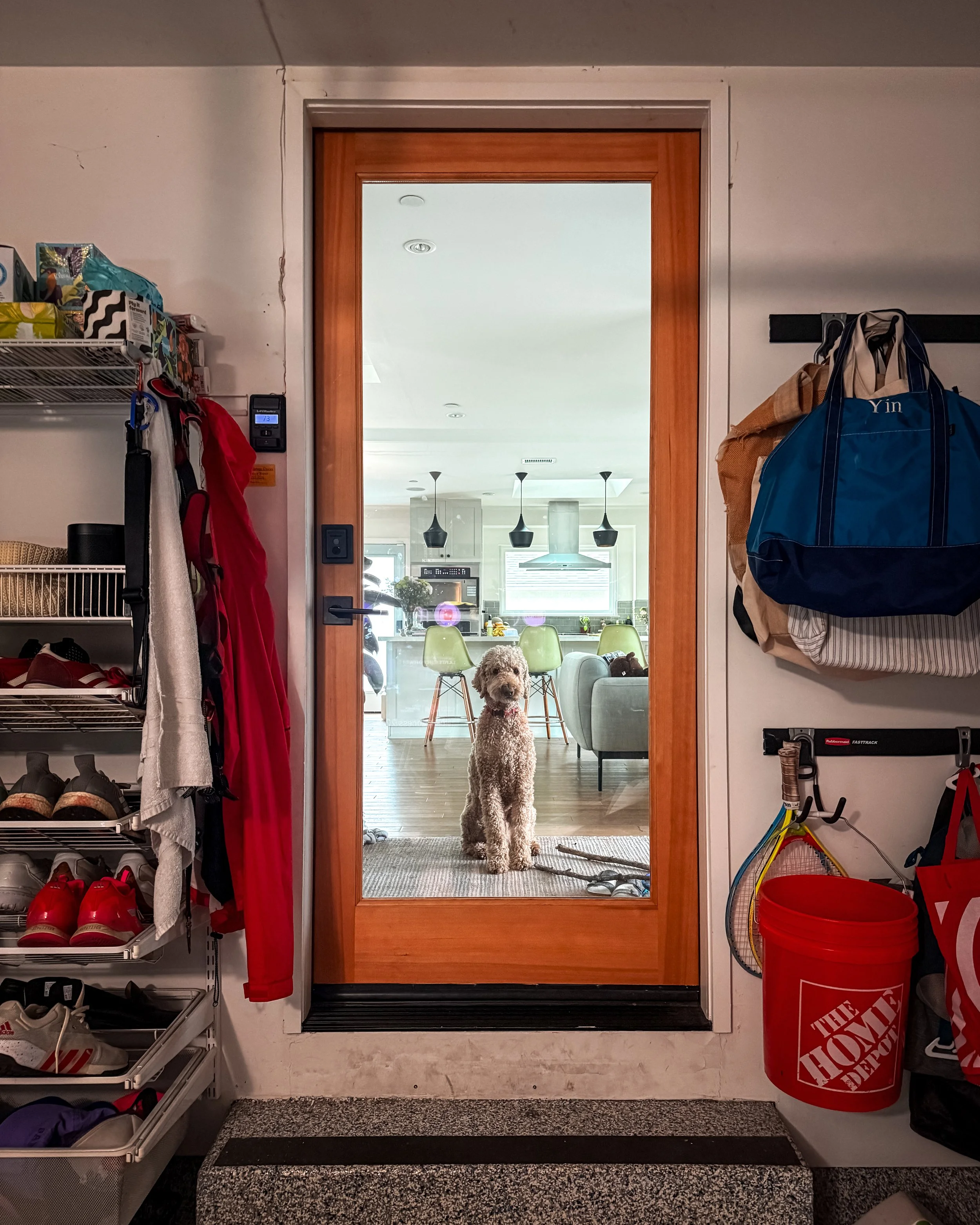 USA - View from the garage into a living room, where a golden doodle dog stands on a rug. The room features a dining table with chairs, a modern kitchen with hanging lights, and large windows.