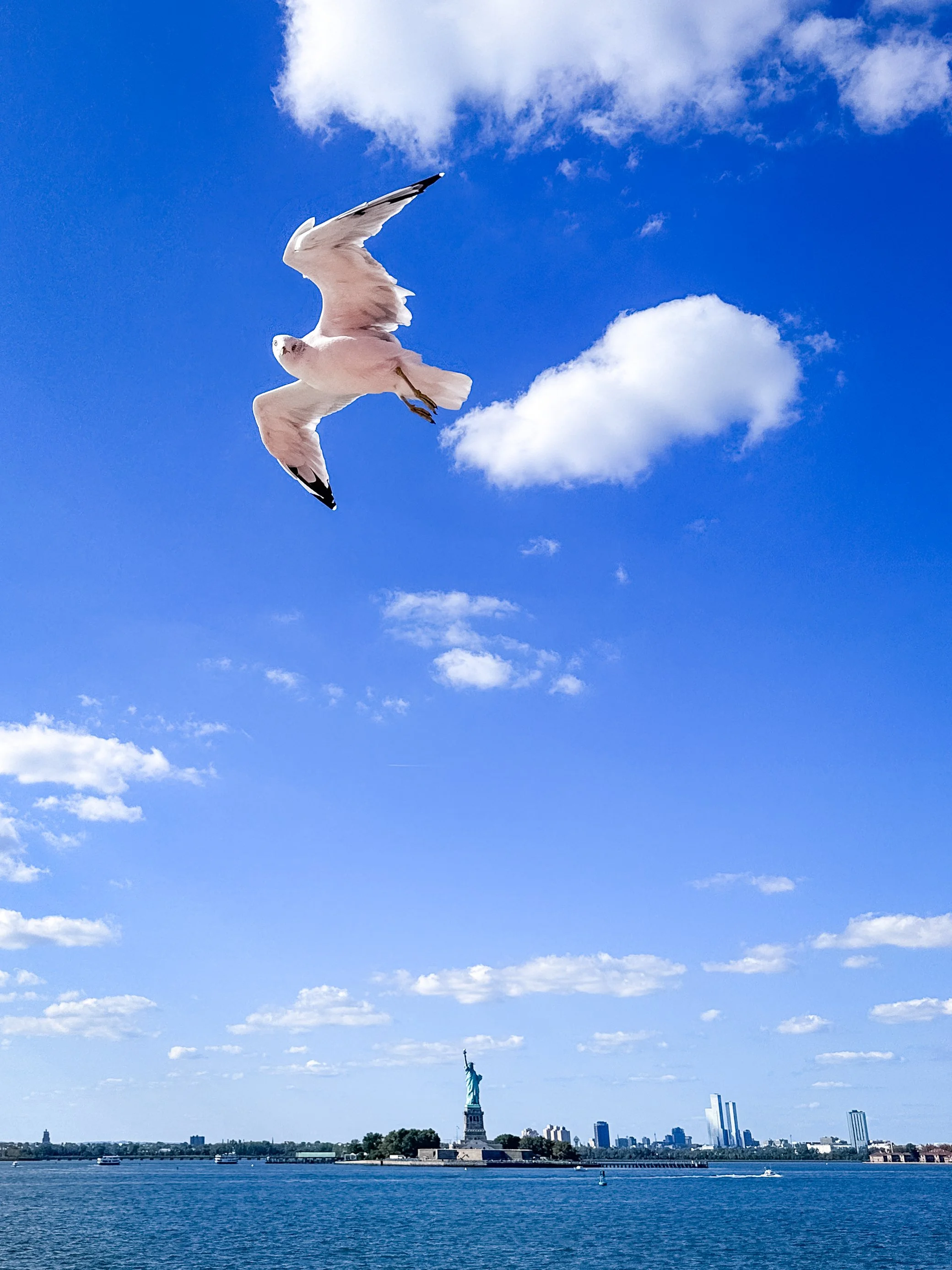View of the Statue of Liberty with a seagull flying in the foreground against a blue sky with scattered clouds.