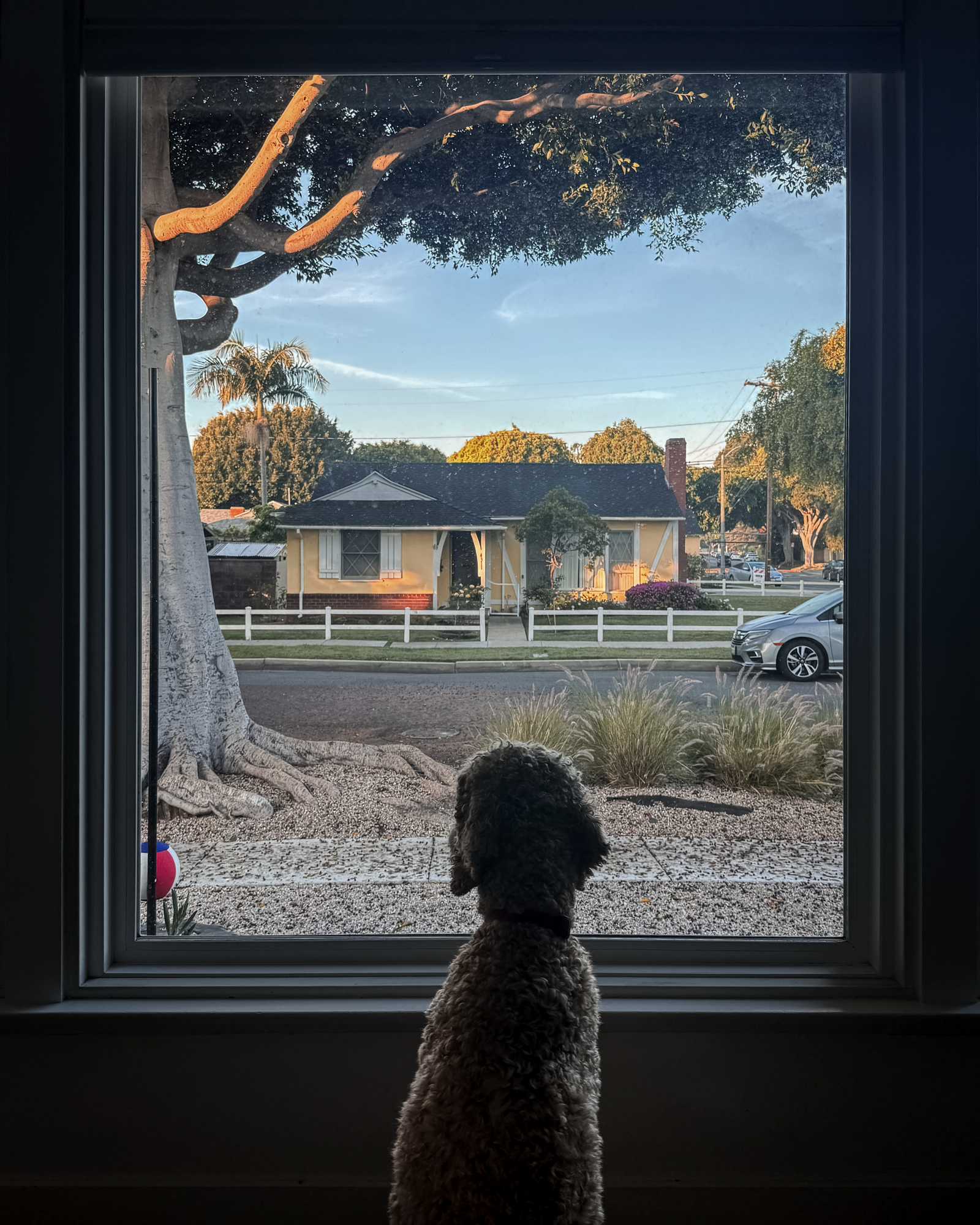 There's no place like home. Los Angeles suburban home.png