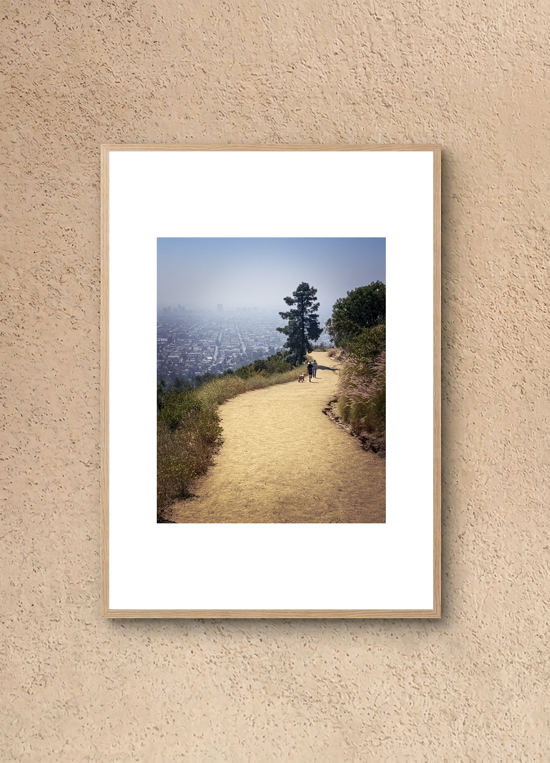 Griffith Park, LA