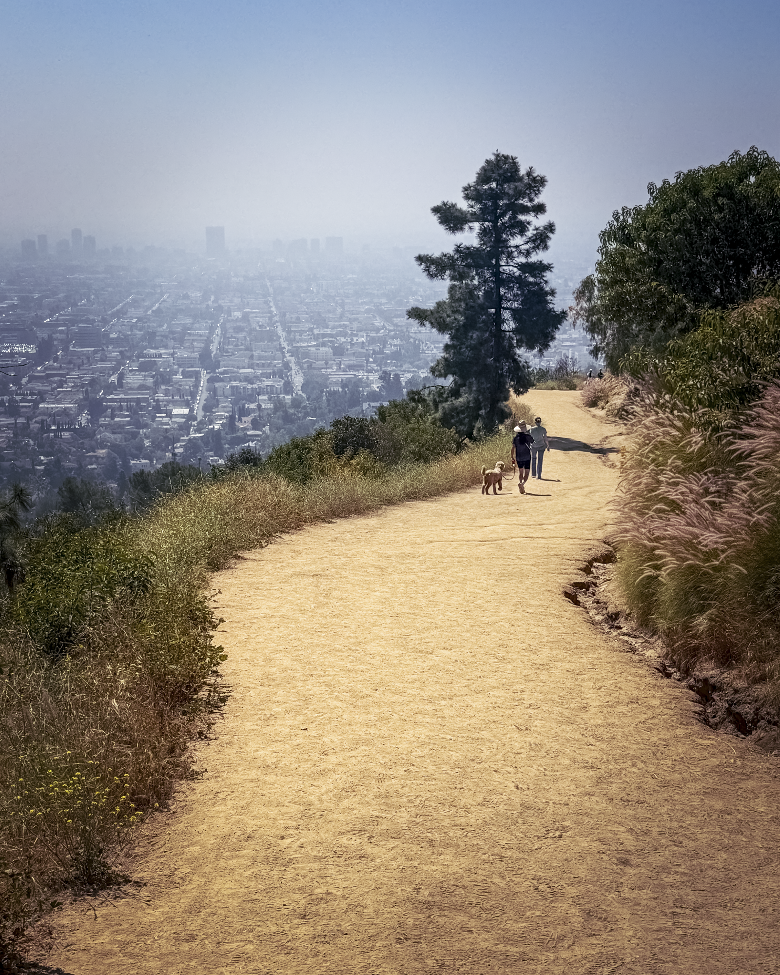 Griffith Park Los Angeles.png