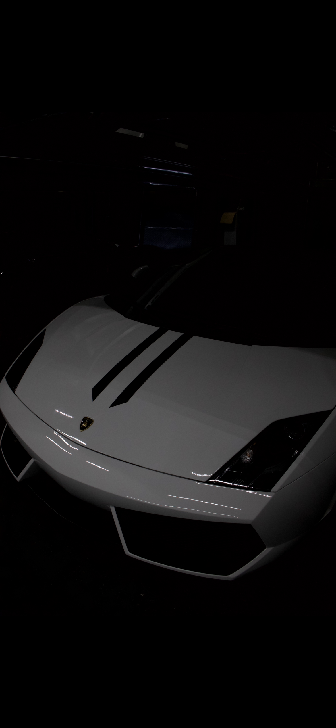 A white Lamborghini sports car with black racing stripes on its hood, displayed in a dark showroom.