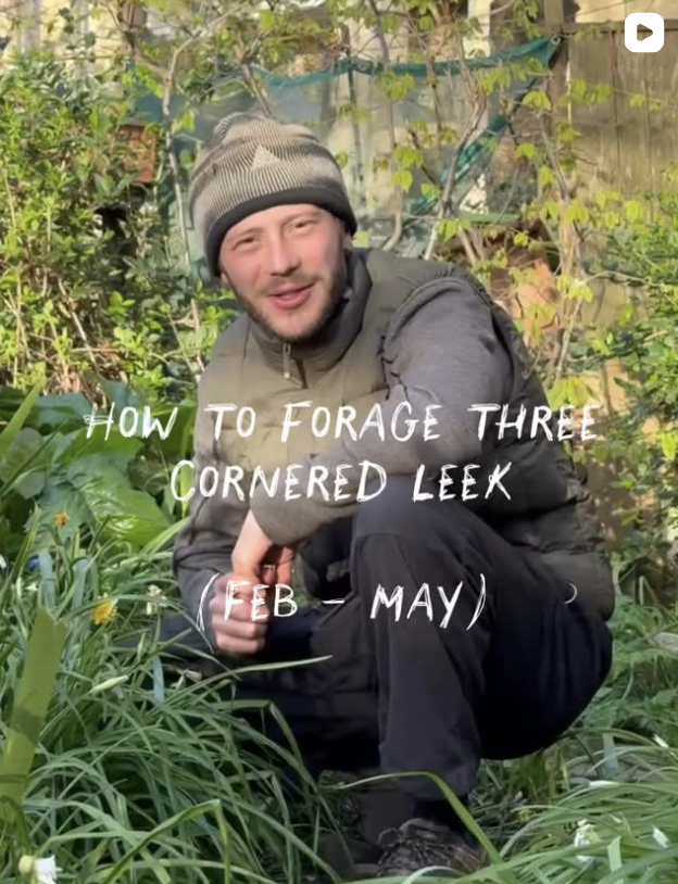 A man in outdoor clothing and a beanie crouches among green leafy plants in a garden, with text overlay about foraging leeks.