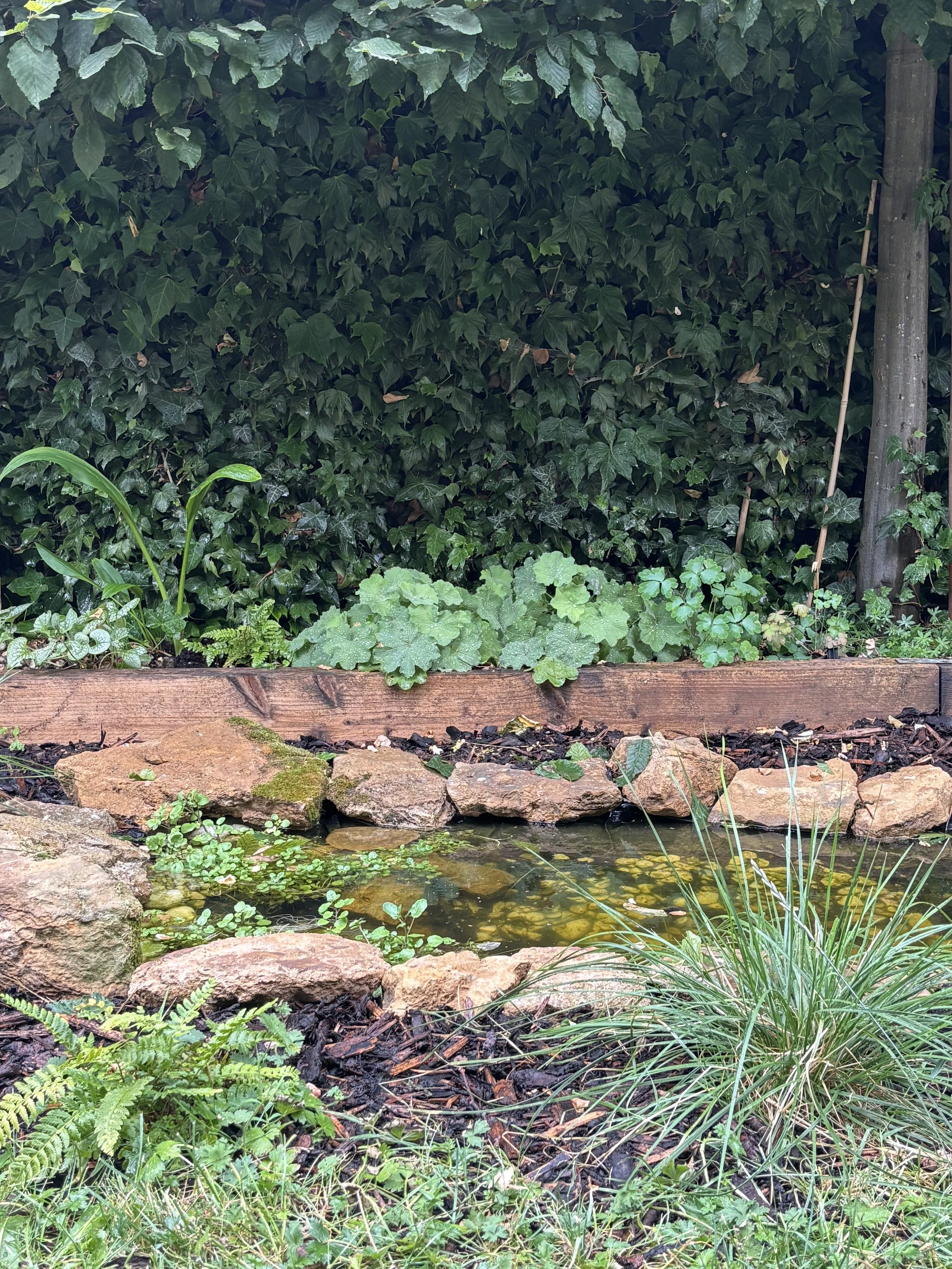 Wildlife pond built using reclaimed stone and planted to create habitat and support garden biodiversity