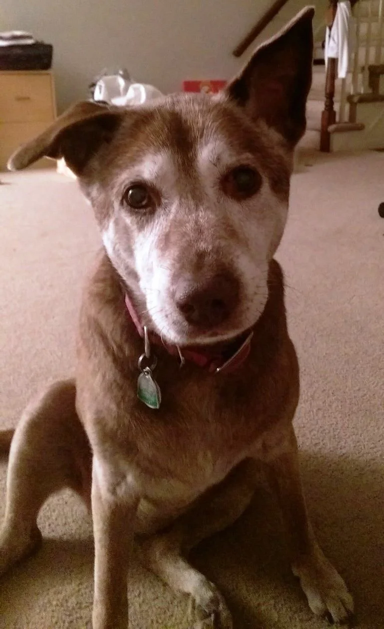 Delta one ear.jpg