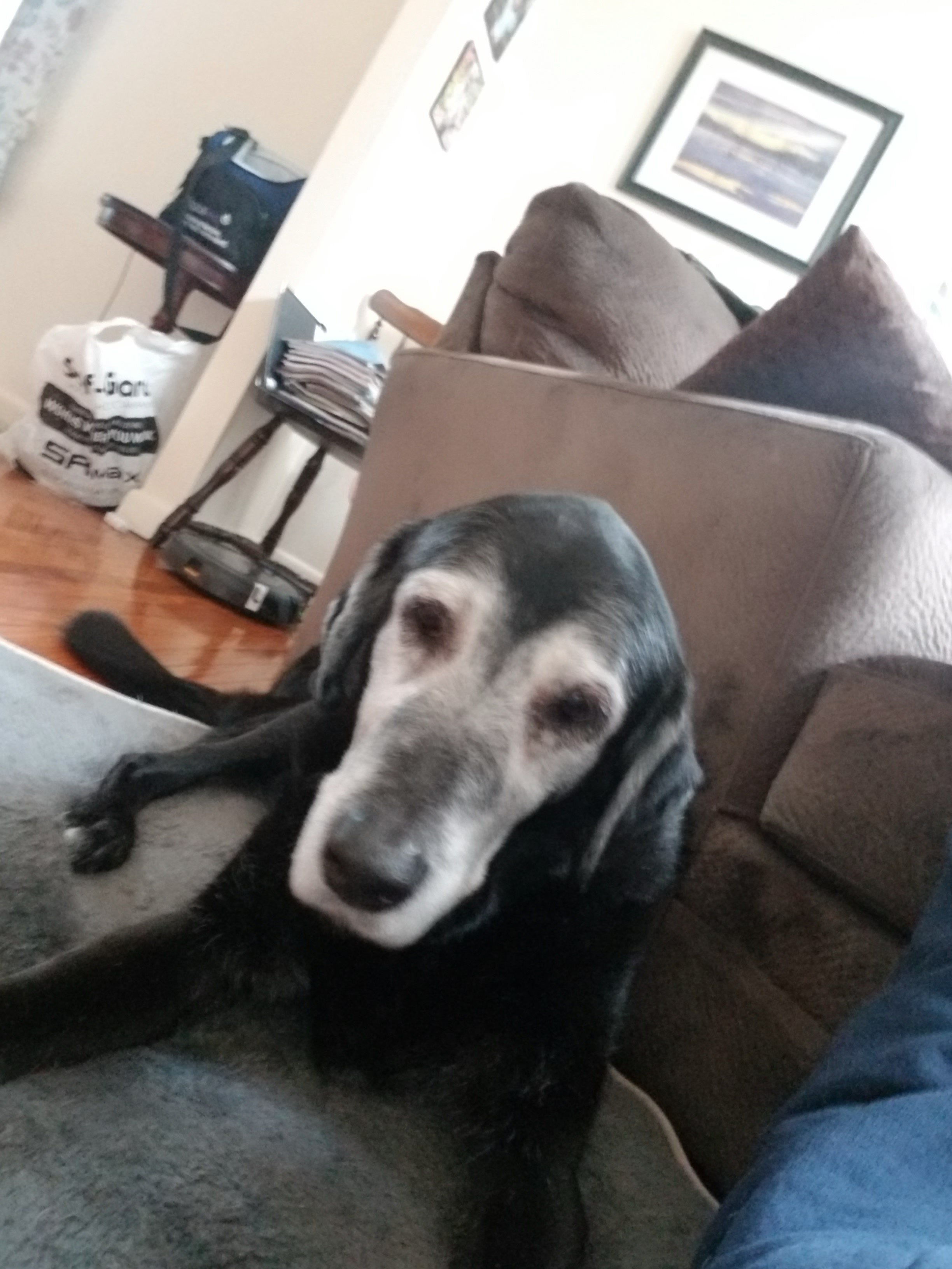 Marley girl.jpg