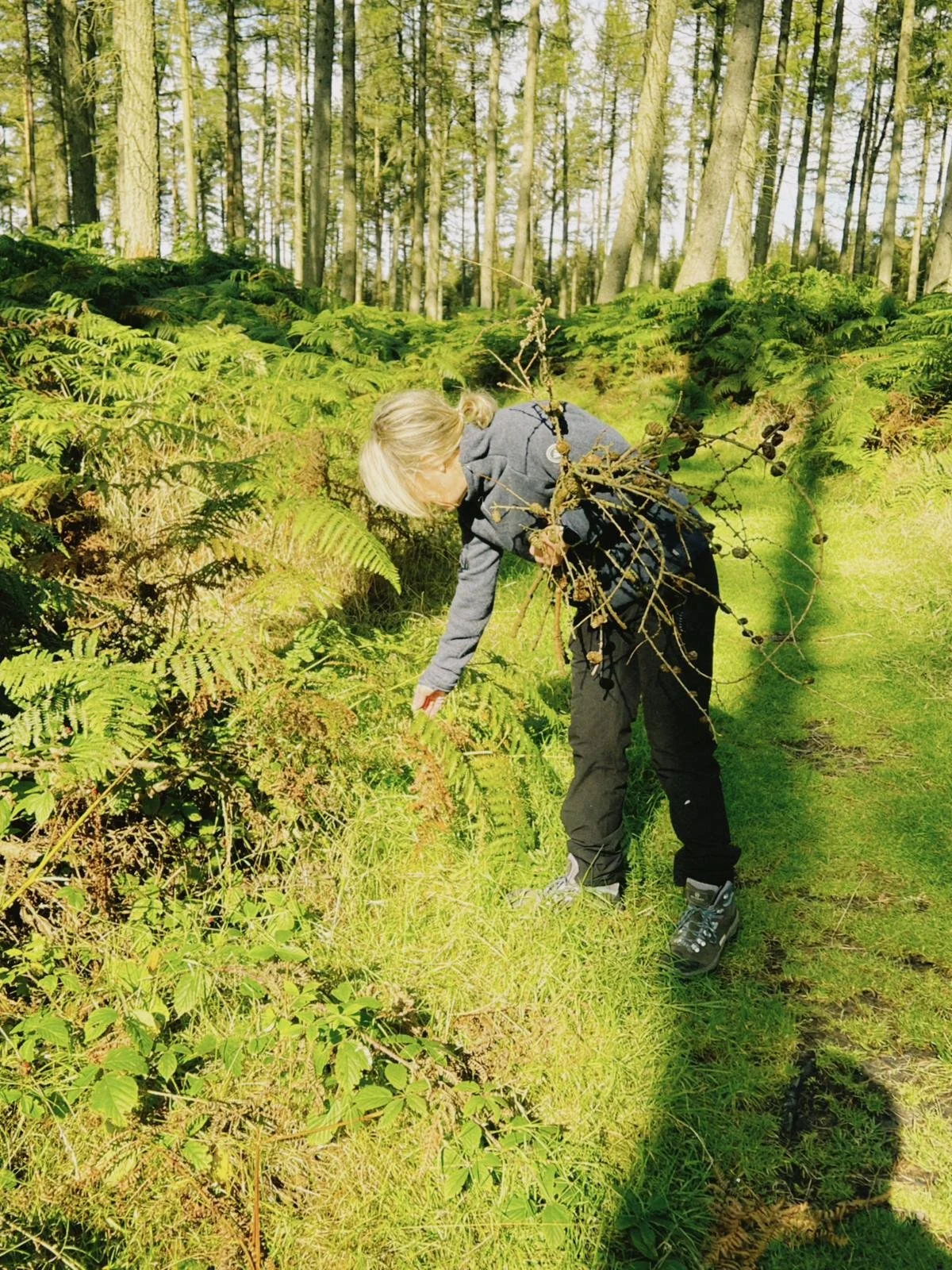 Nikki with blonde hair in a ponytail bending down to pick plants in a forest clearing. She is wearing a gray jacket, black pants, and hiking shoes. Tall trees and dense ferns surround her.