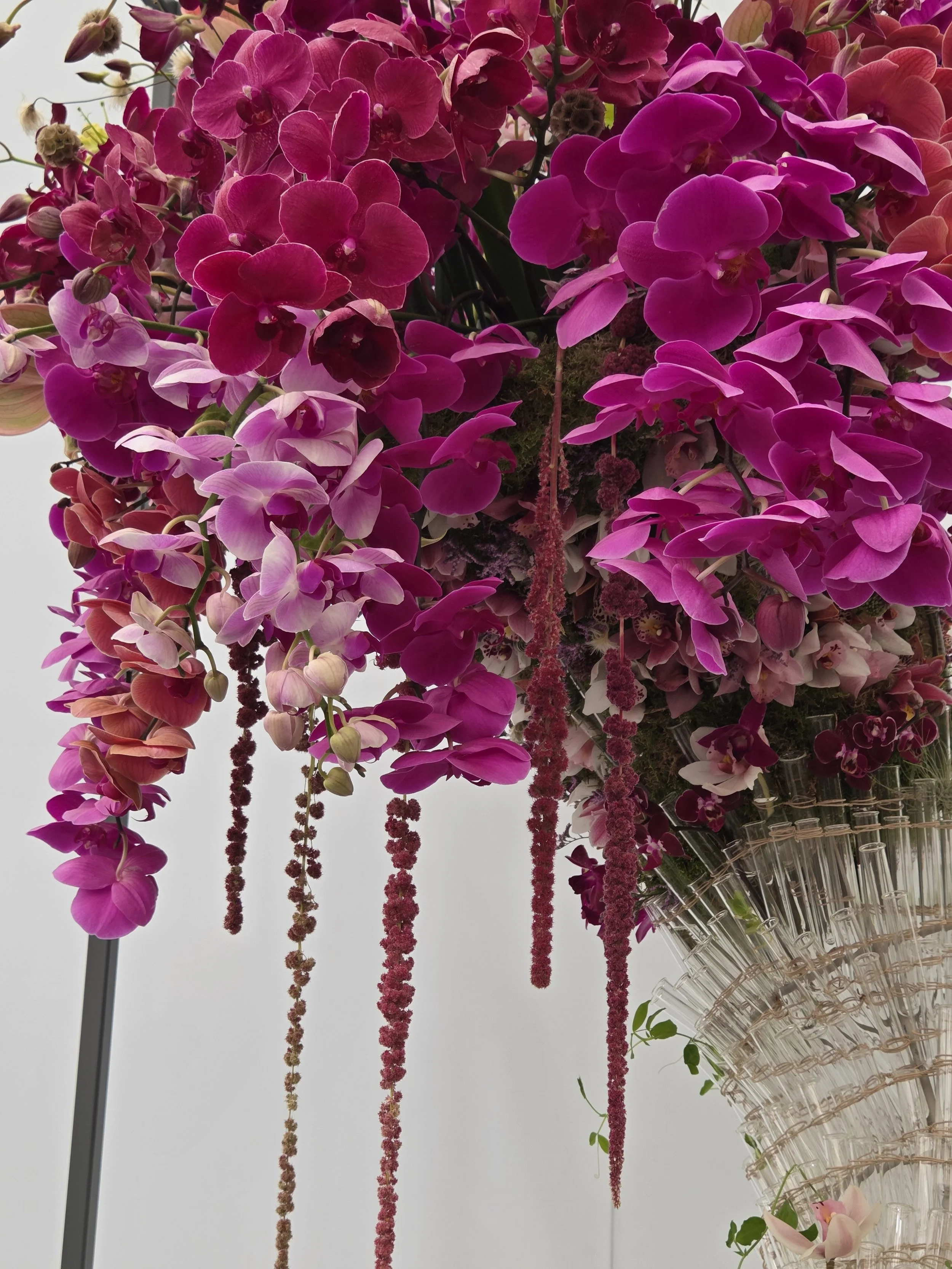 A large bouquet of pink and purple orchids in a clear glass vase with pink decorative twine, with some green leaves visible at the bottom.