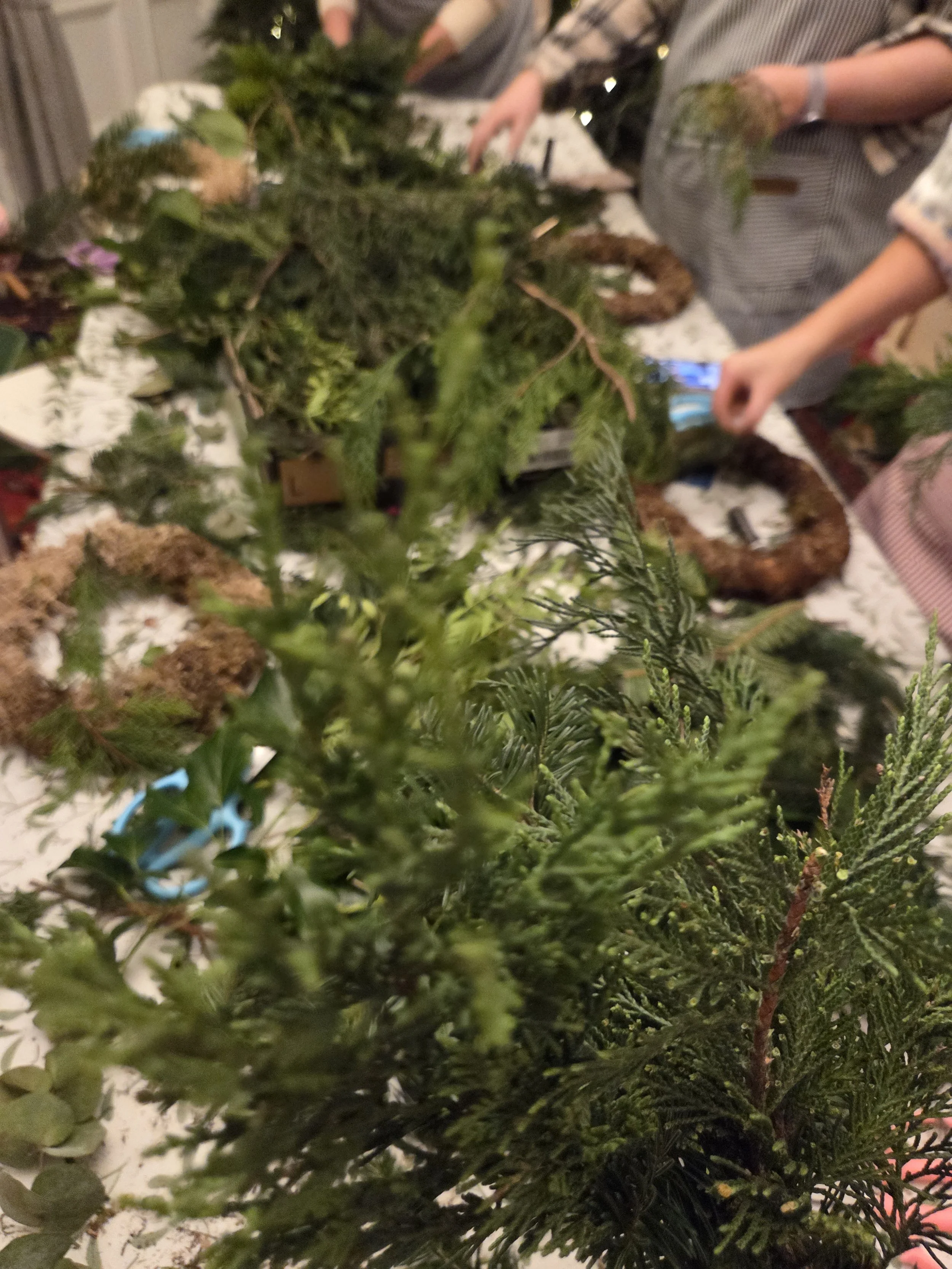 Close-up view of various green Christmas tree branches and foliage