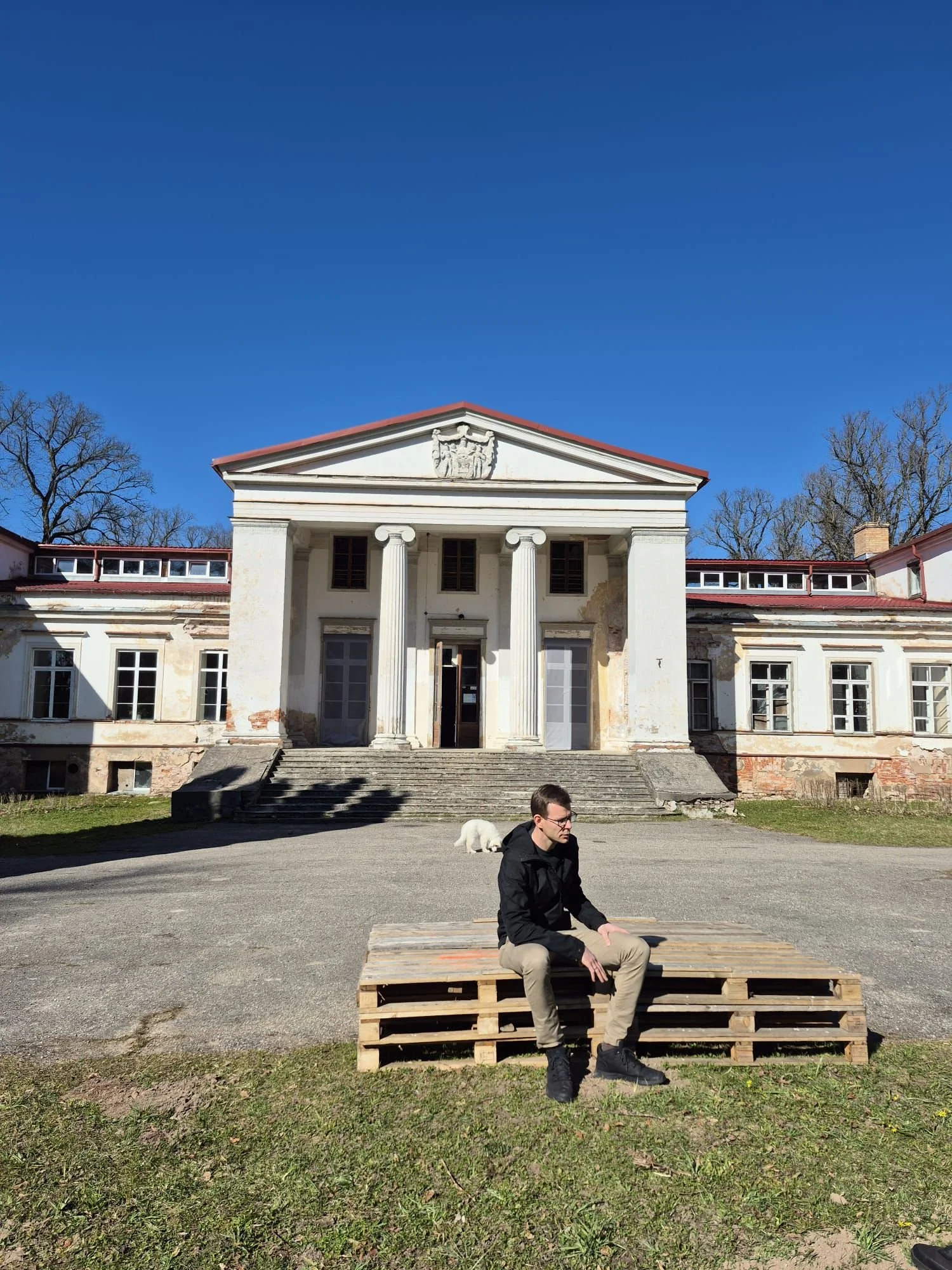 A man in black jacket and beige pants sitting on a large wooden pallet in front of a historic white building with classical columns and steps, a clear blue sky, and few leafless trees in the background. A person and a small white dog are visible behind him.