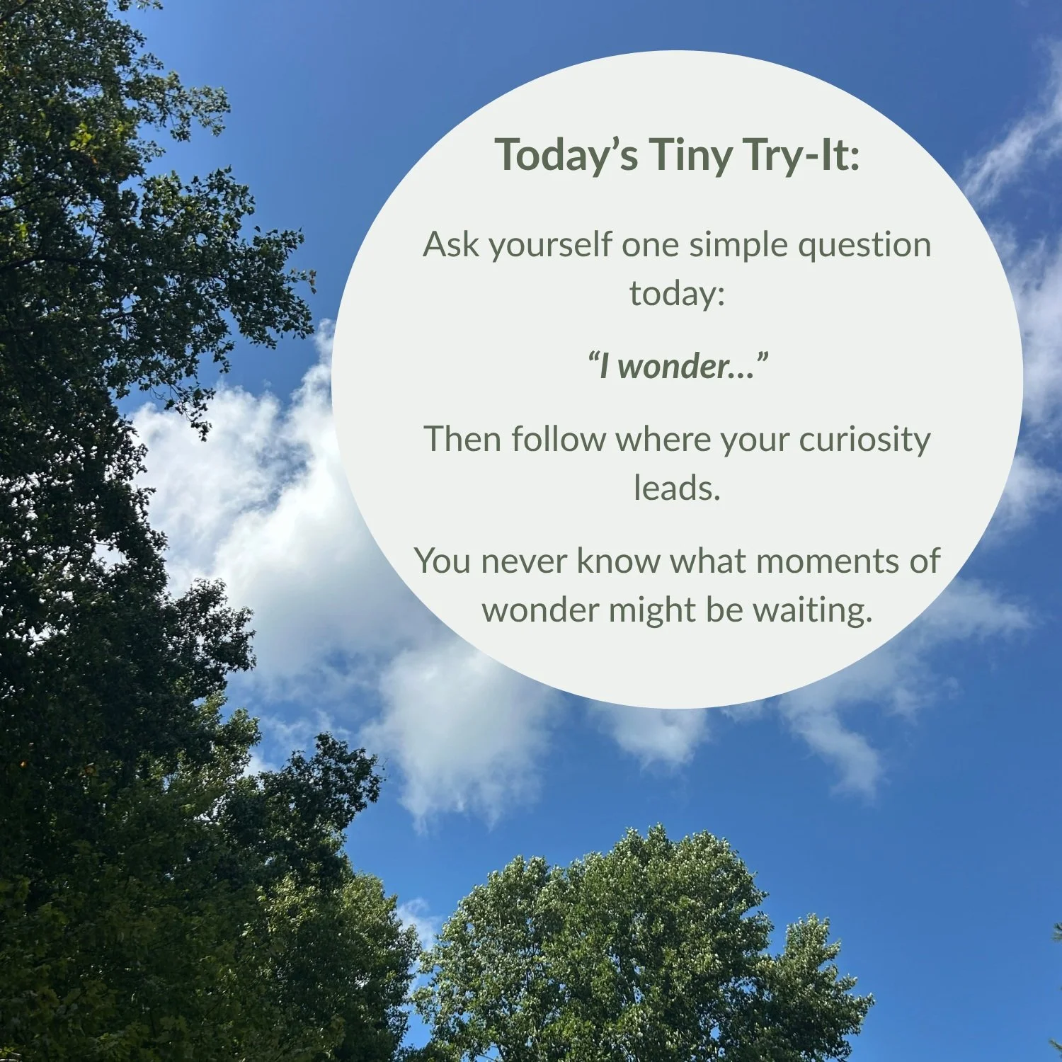 Today's Tiny Try-It 

Did you know the dictionary gives us two definitions of wonder?

✨ Wonder (noun): a feeling of amazement or awe.

✨ Wonder (verb): to be curious. To ask questions.

Maybe the second kind of wonder leads to the first.

When we sl