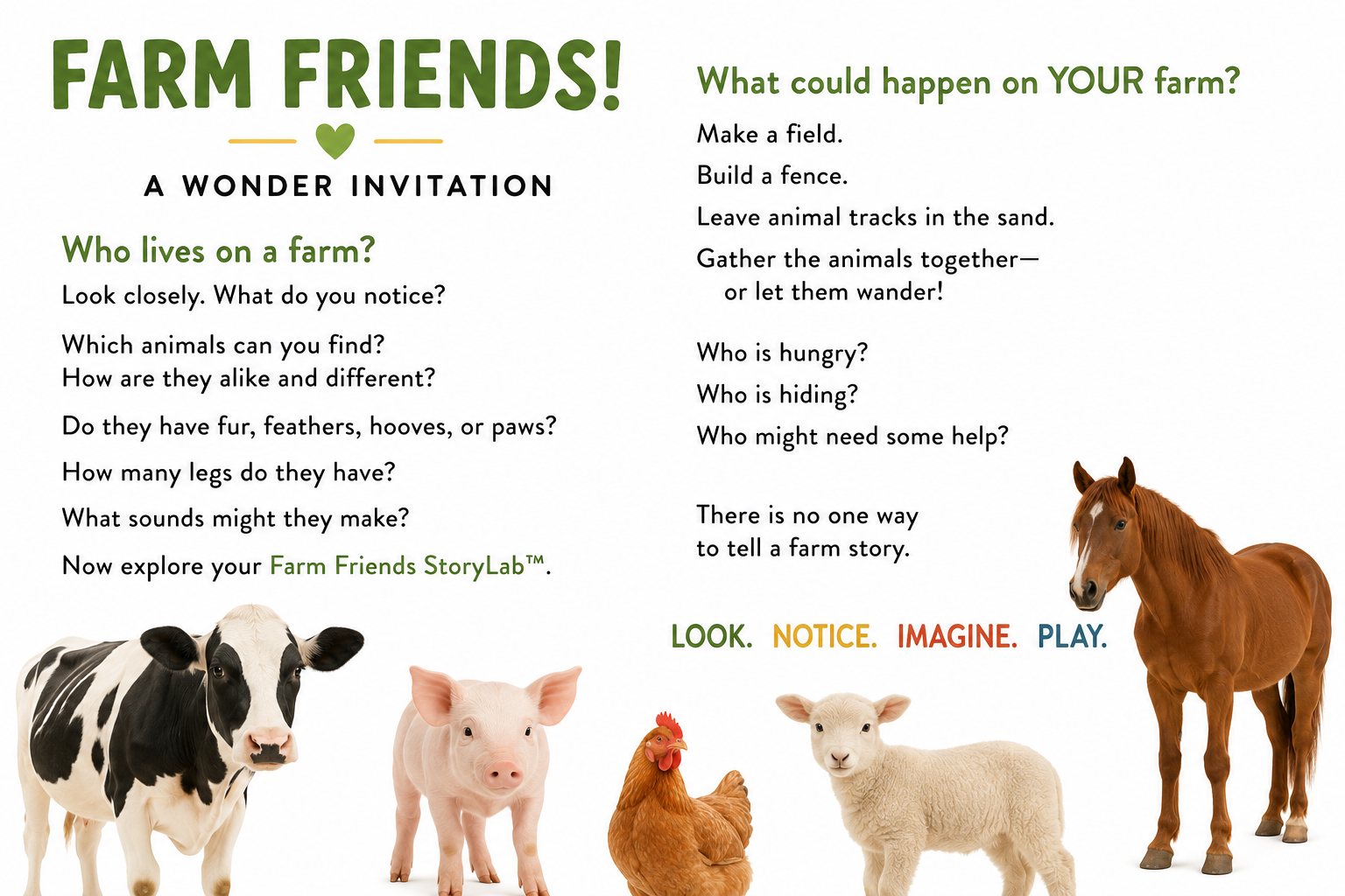 Farm Friends Wonder Invitation.png