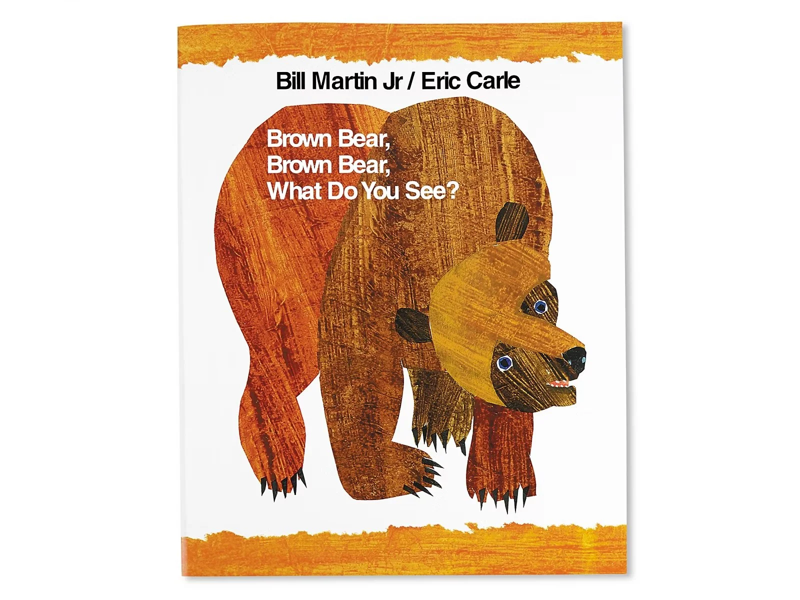 brown bear book cover.jpeg