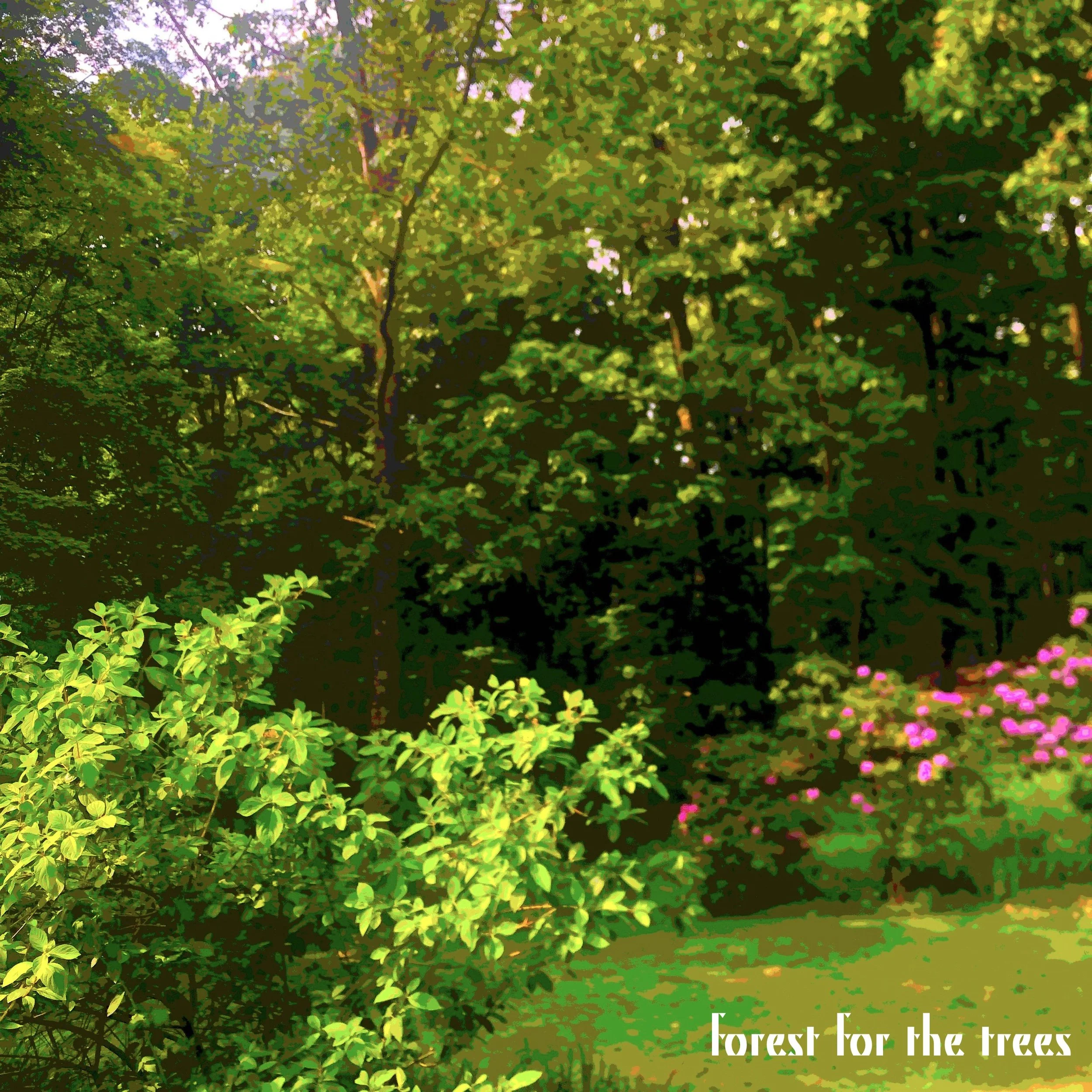 After various scattered singles and covers, my first EP   Forest for the Trees   (2021) came together as my capstone project for my senior year of high school.  

I wanted to make a statement that fit my state of mind and the pandemic-ridden, politic