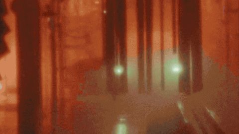 gif.gif