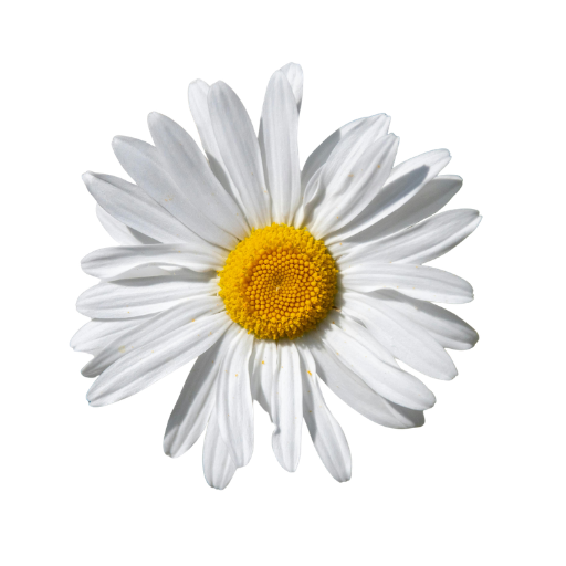 Naturopathie et solution naturelles règles douloureuses , endométriose, SPM, SOPK, intestin irritable, ballonnements