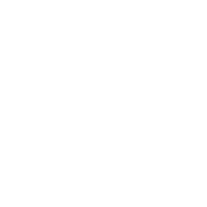 ford.png