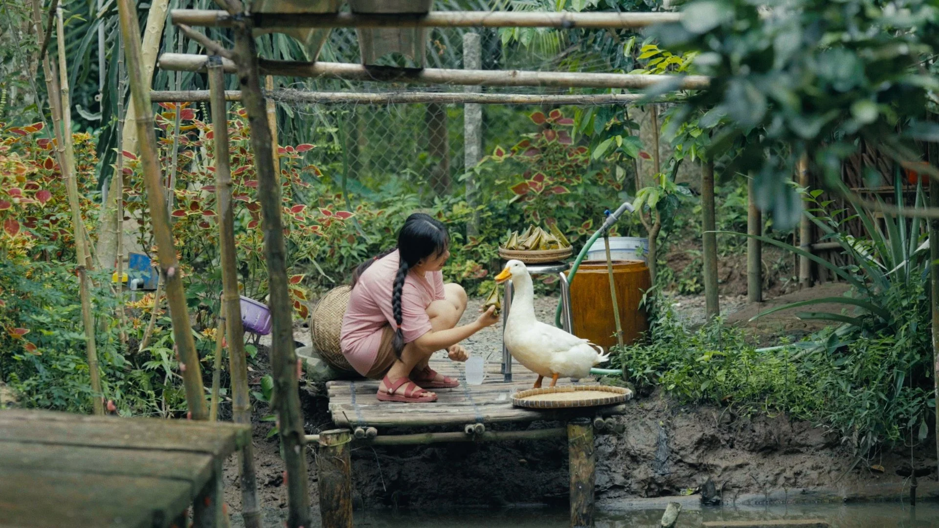 Trang_1.51.1.webp