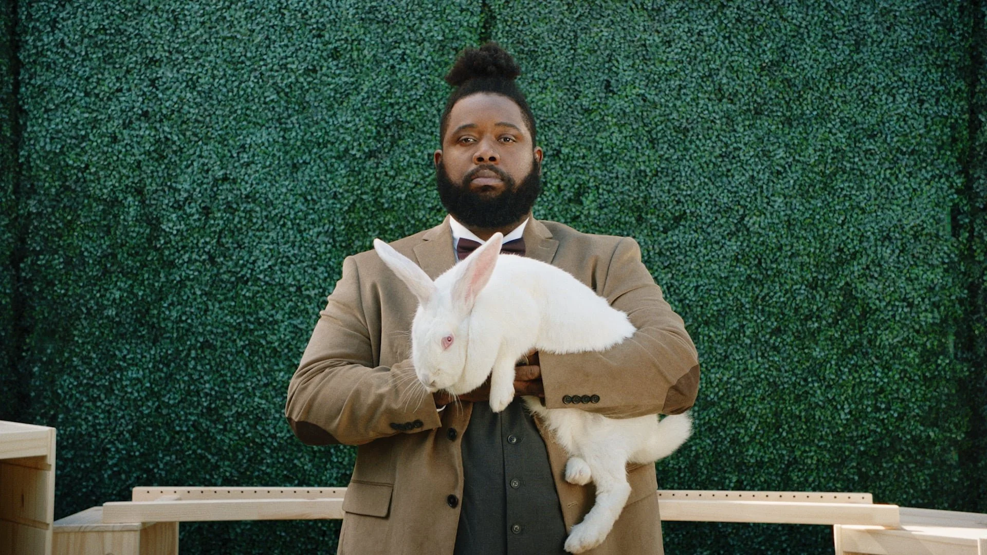 Seattle Bank - Bunbun
