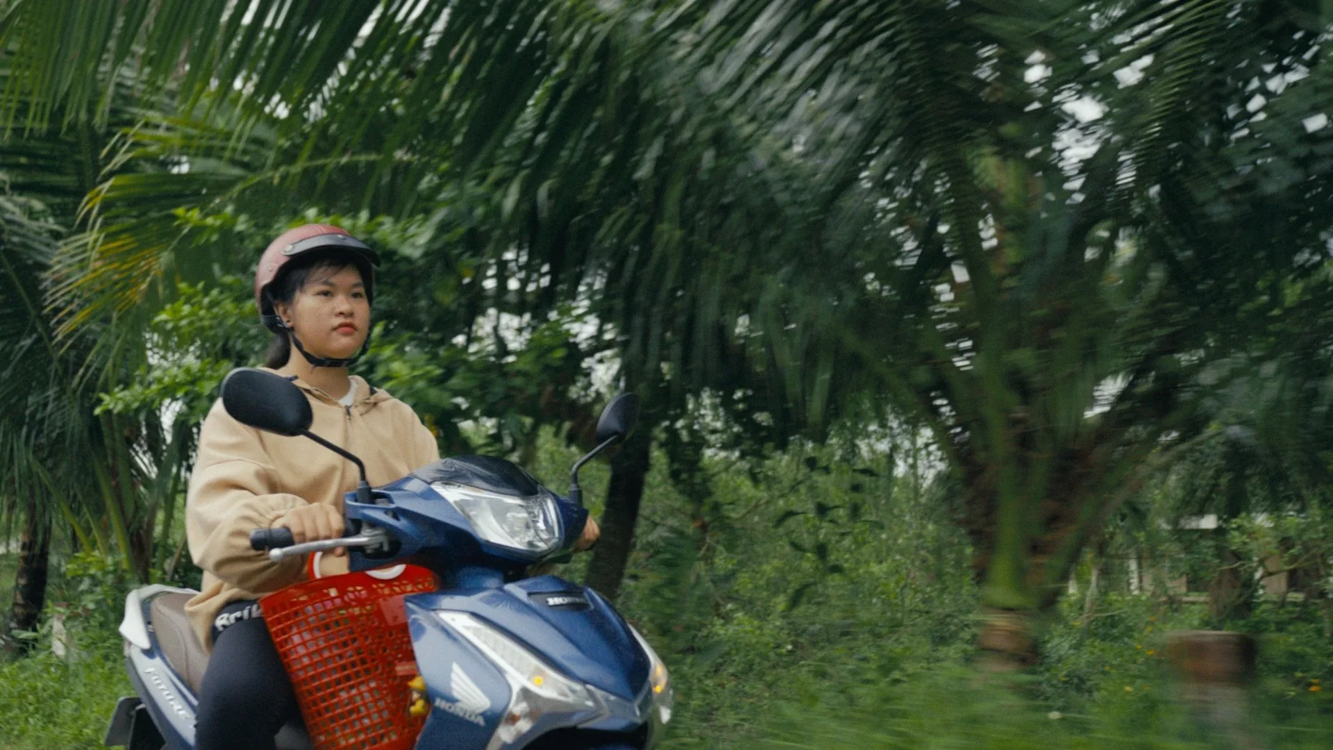 Trang_1.70.1.webp