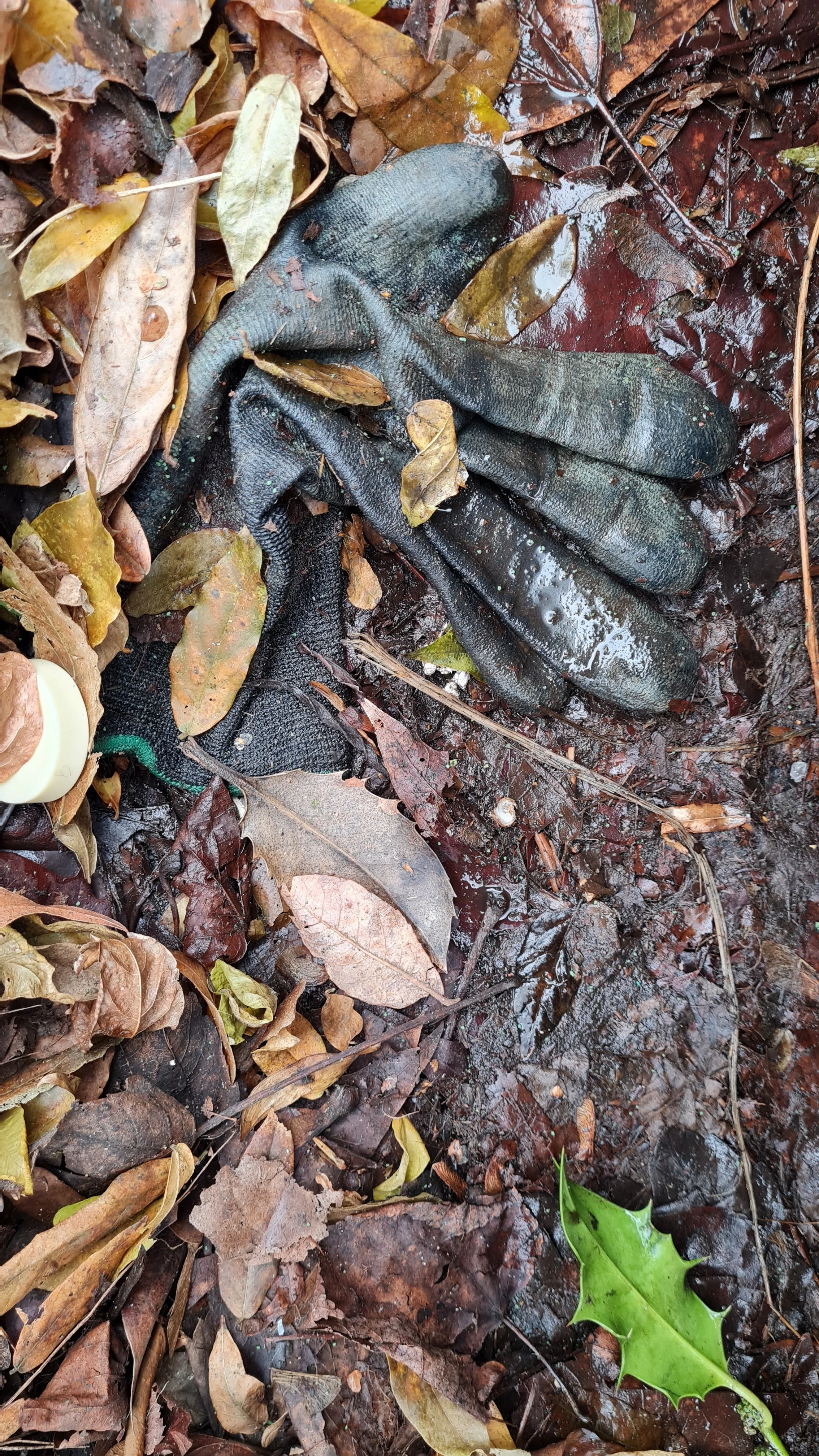 20201231_123832.jpg