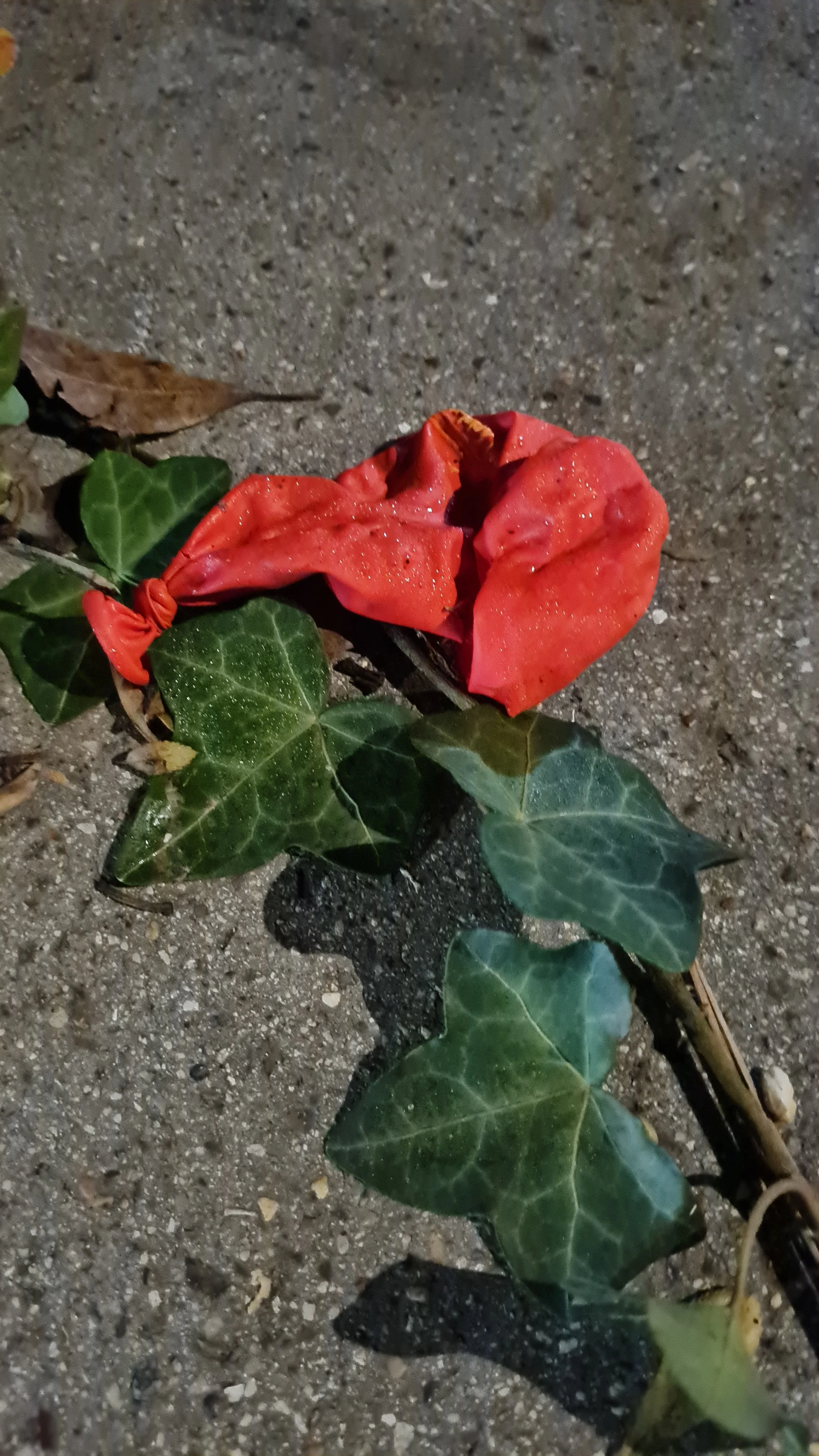 20221112_214146.jpg