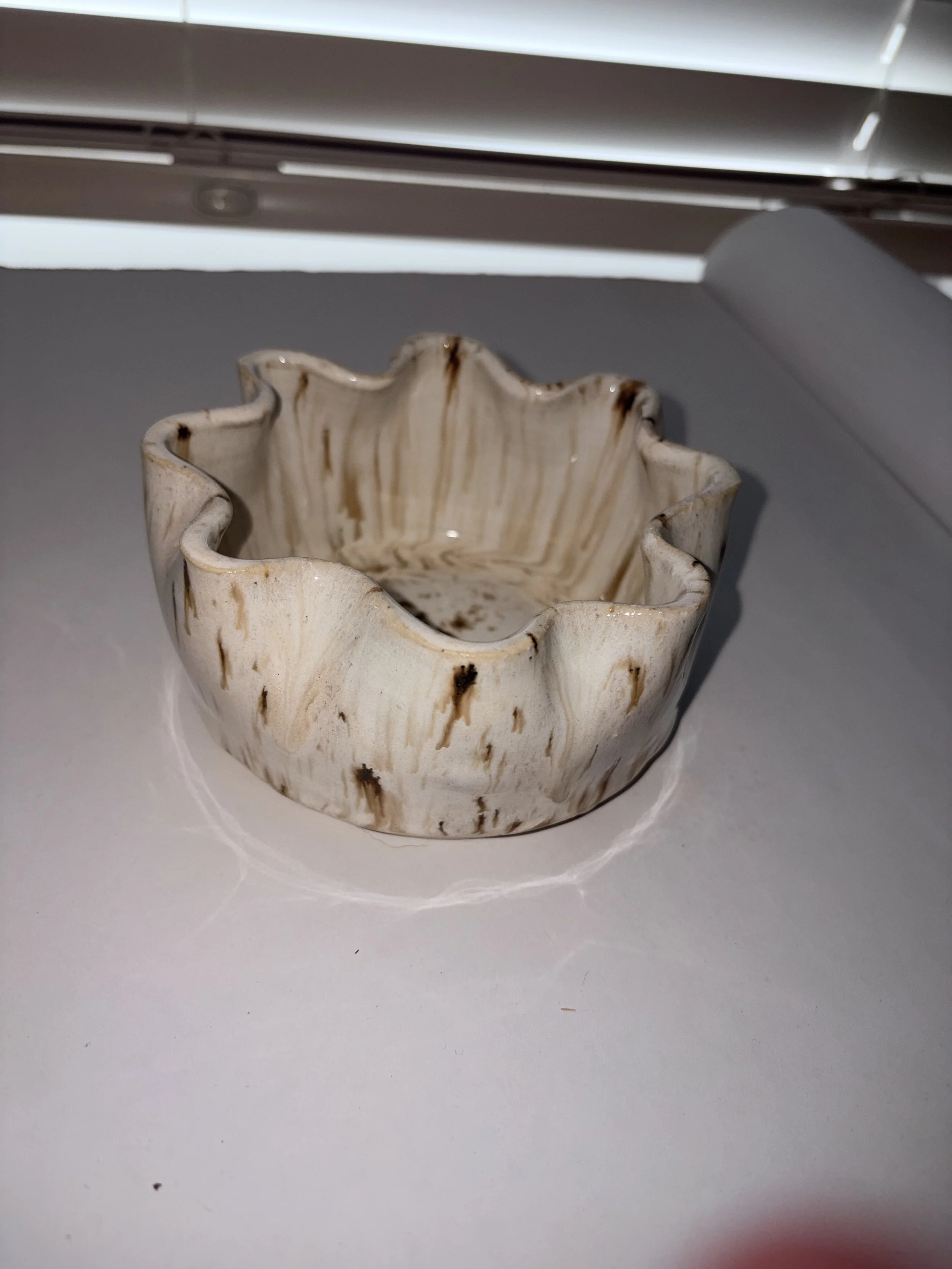 birch bowl 1.jpeg