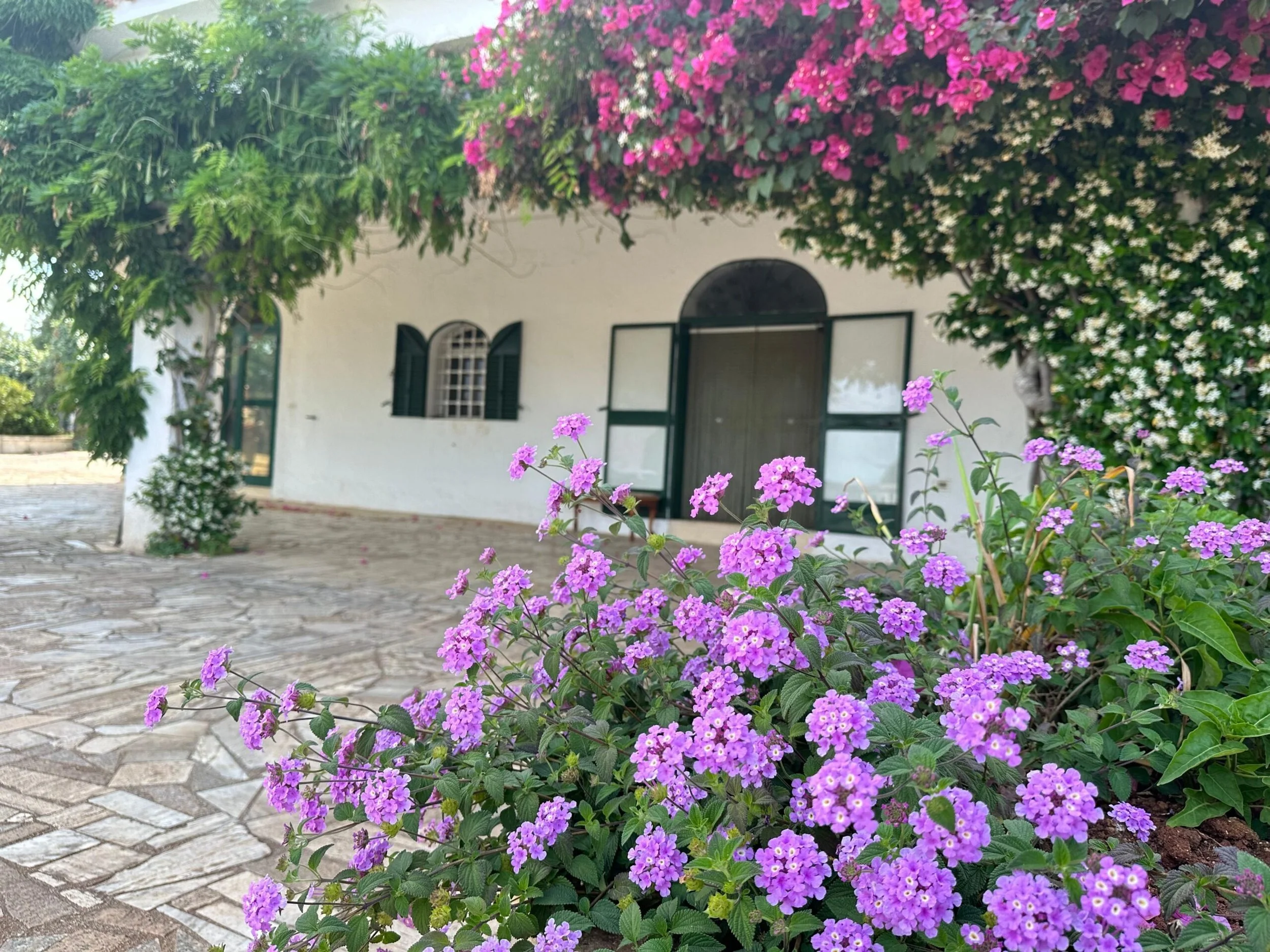 The Buyer Playbook: Stunning Villa with Sea View in Ostuni Hills, Puglia, Italy, €450,000