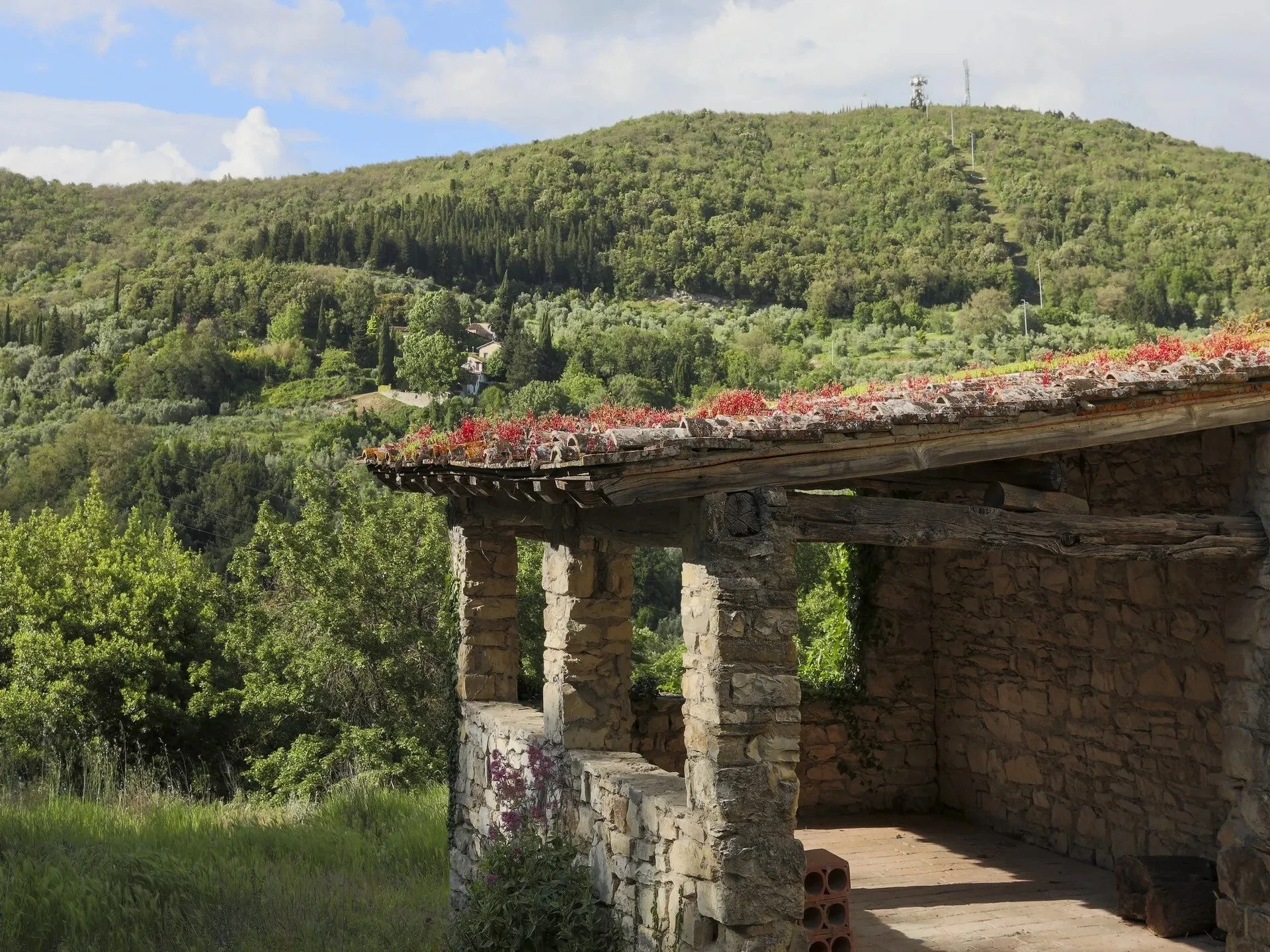 tuscany-stone-barn-rooftop-succulents.jpg