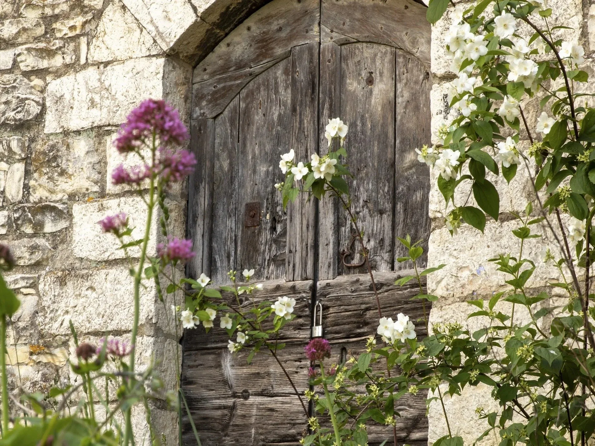 tuscany-wooden-door-framed-by-wildflowers.jpg