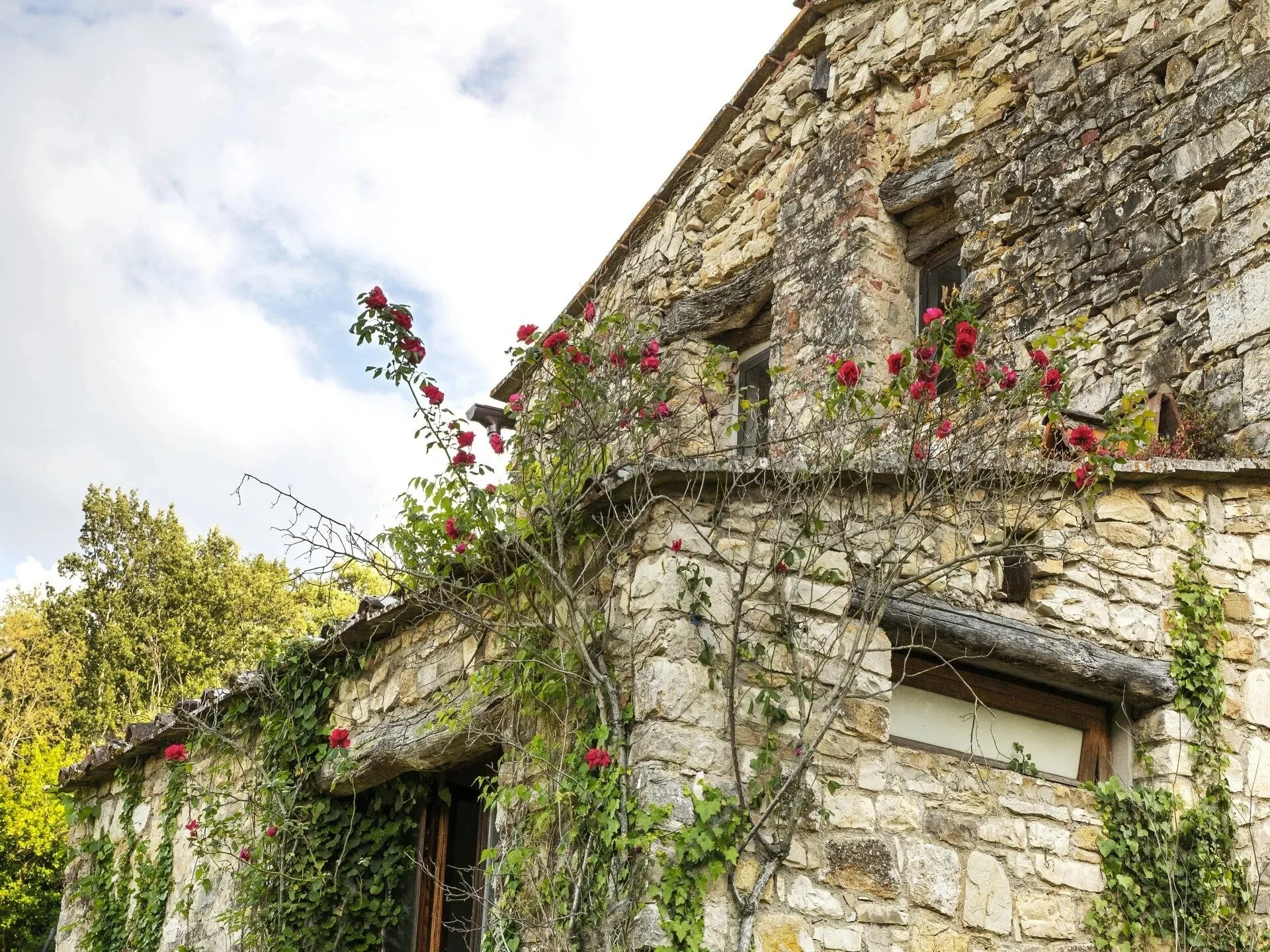 rose-covered-facade-of-tuscan-farmhouse-with-weathered-stone.jpg