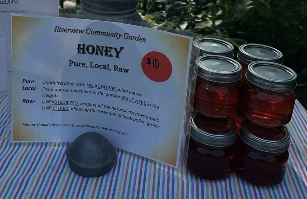 Local Jersey City Honey