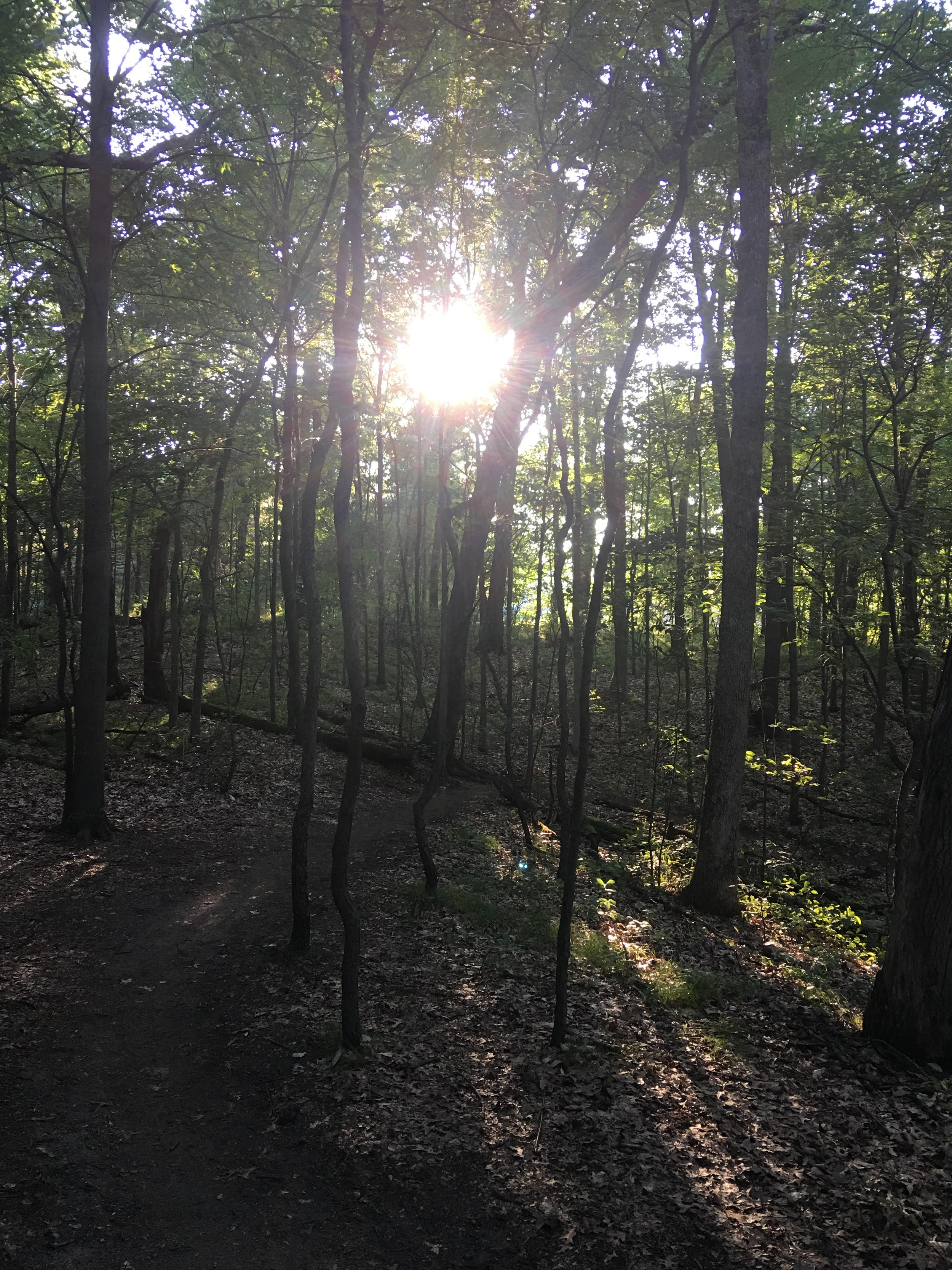 The Wilderness Within: Reflections on Solitude, Spirituality, and the Search for Connection