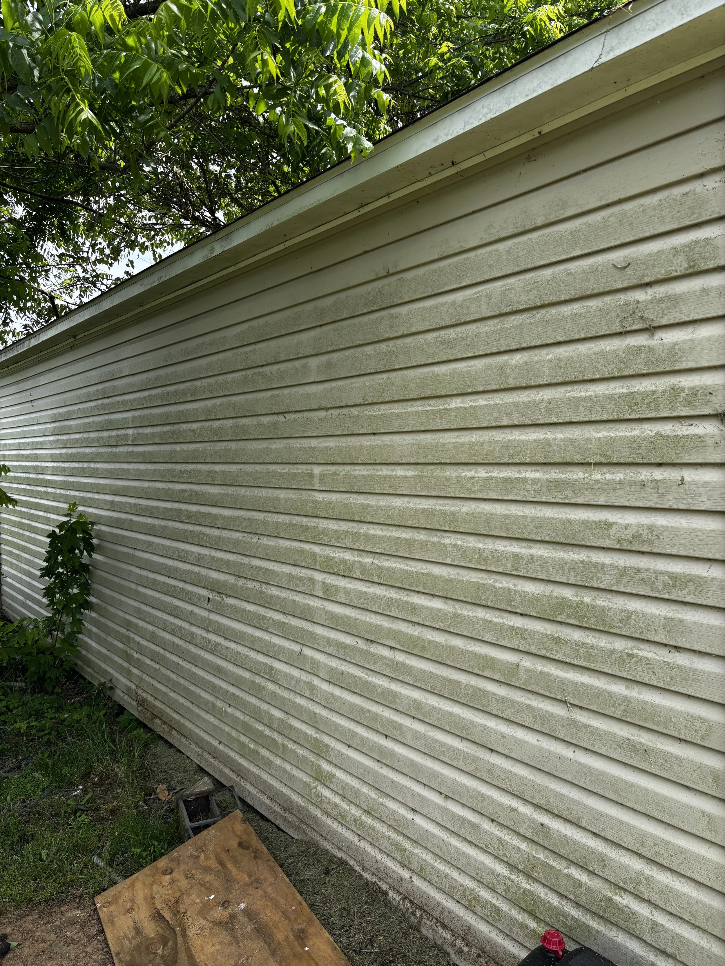 Close-up of an off-white, weathered horizontal siding wall with some dirt and moss. In the upper left, green tree leaves are visible. At the bottom, there is a small patch of grass and a wooden plank on the ground, along with some scattered debris an