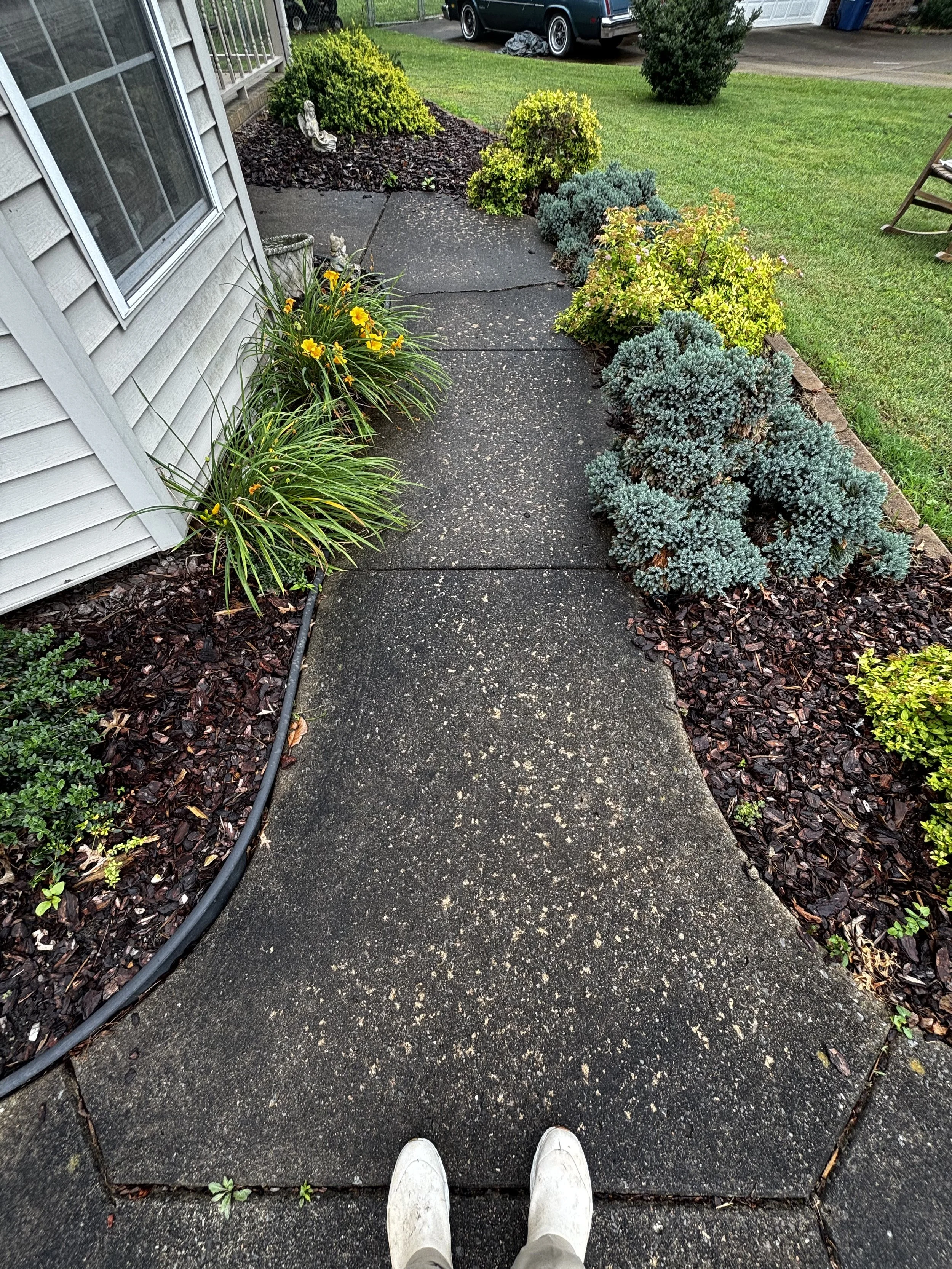 The photo shows a pair of white shoes worn by a person standing on a concrete walkway in front of a house. The walkway is bordered by shrubs and orchids, with a garden area on the right and a grass lawn in the background. There's a parked dark green 