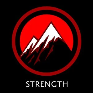"Strength" icon: one of five core concepts for Ronin branding