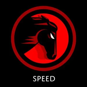 "Speed" icon: one of five core concepts for Ronin branding