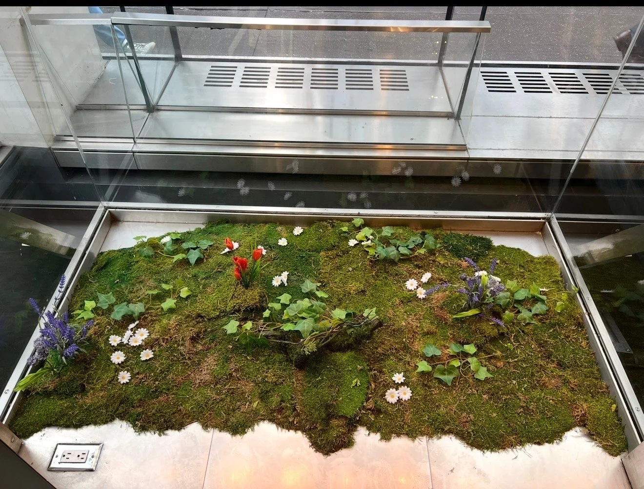 Indoor glass display case with a miniature garden of moss, ivy, and small flowers, including red tulips, white daisies, and purple flowers.