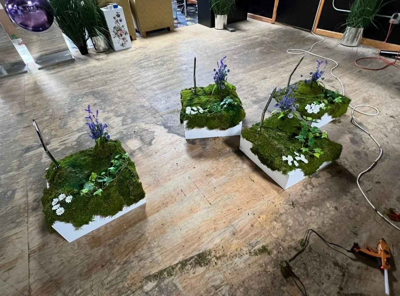 Three decorative moss-covered planters with greenery and purple lavender and white flowers on a wooden floor.