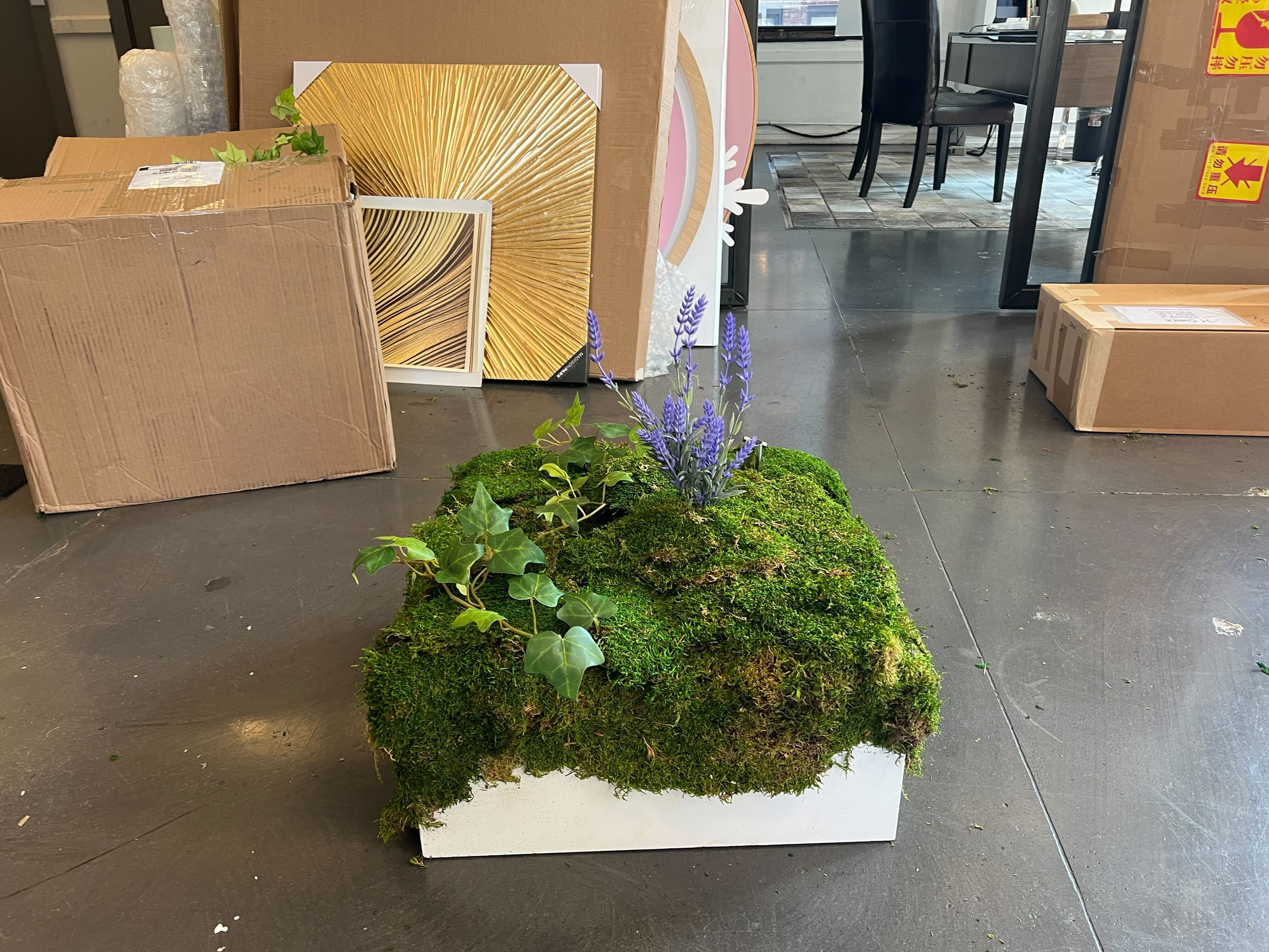 A display with a small mossy plant, purple flowers, and green ivy in front of cardboard boxes and framed artwork in what appears to be a store or warehouse.