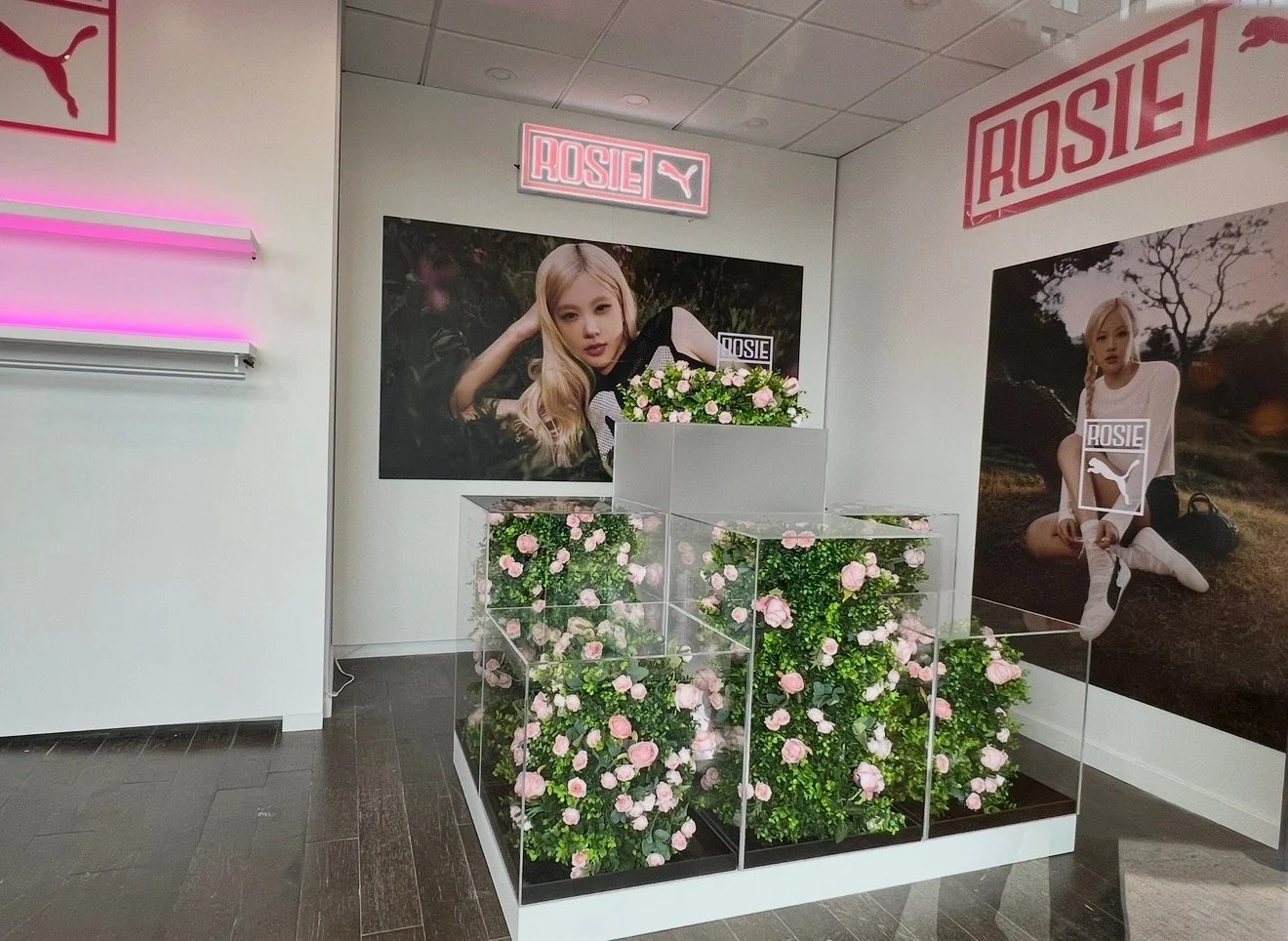 Display area featuring promotional posters for Rosalía, a singer, with pink roses in a glass case and neon signs for Puma and Rosalía in the background.