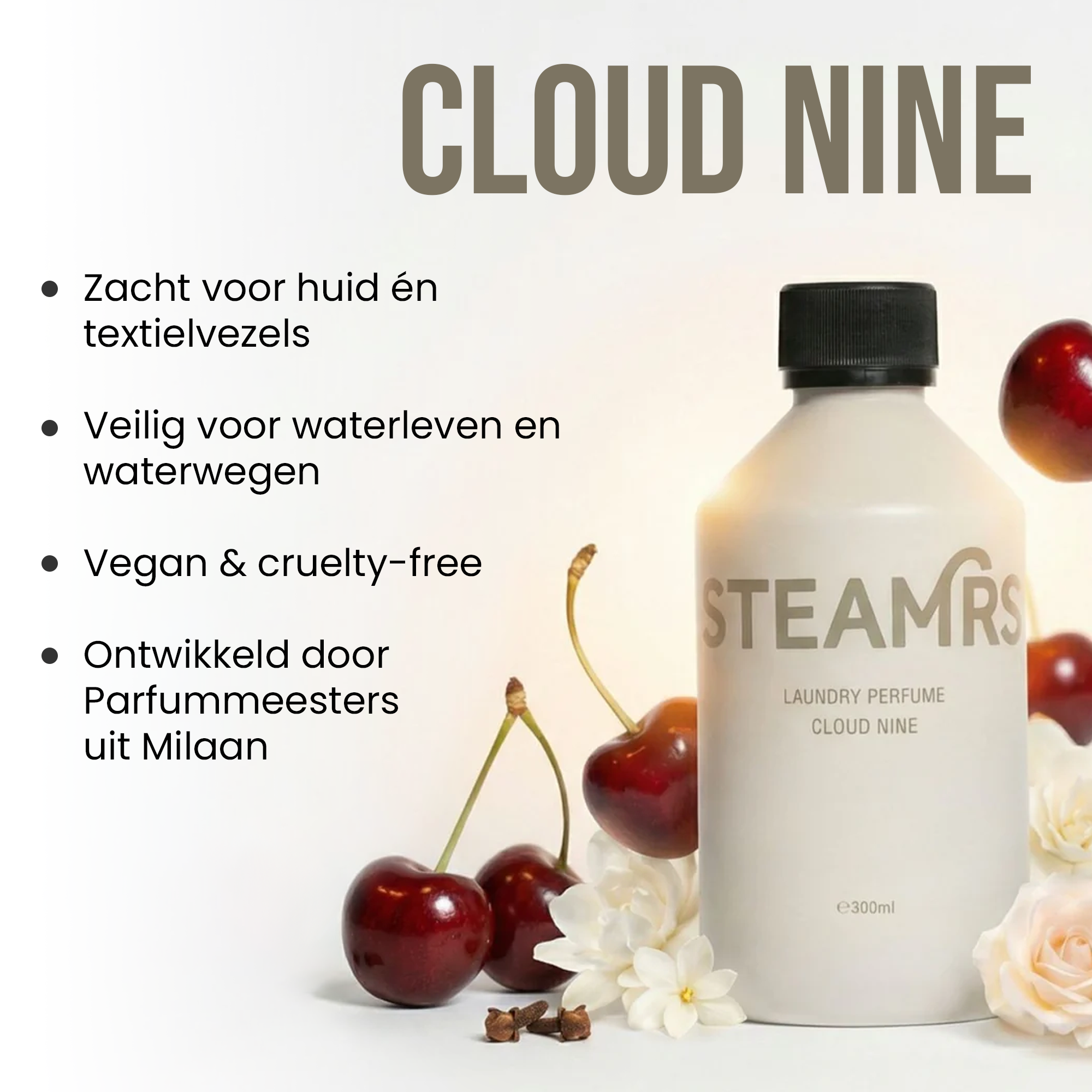 Cloud - PT01.png
