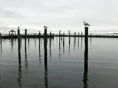 Seagulls perched on wooden posts along a pier extending into a calm body of water under a cloudy sky.
