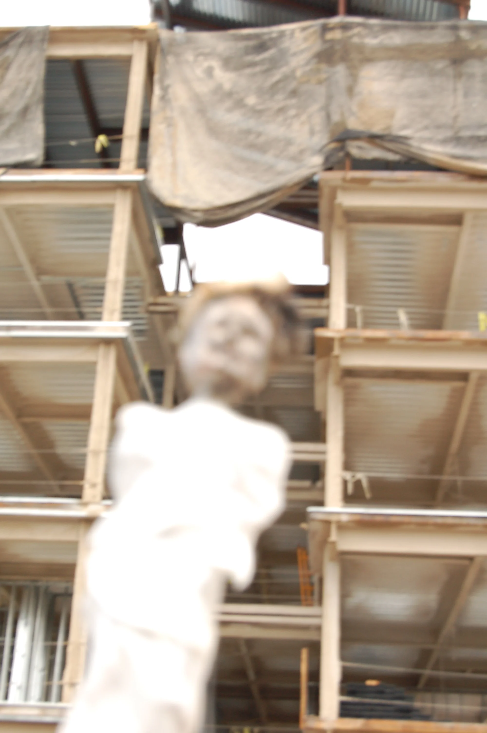 A blurry image showing a ladder and a cat looking up at the camera. The background appears to be a wooden structure or scaffolding.