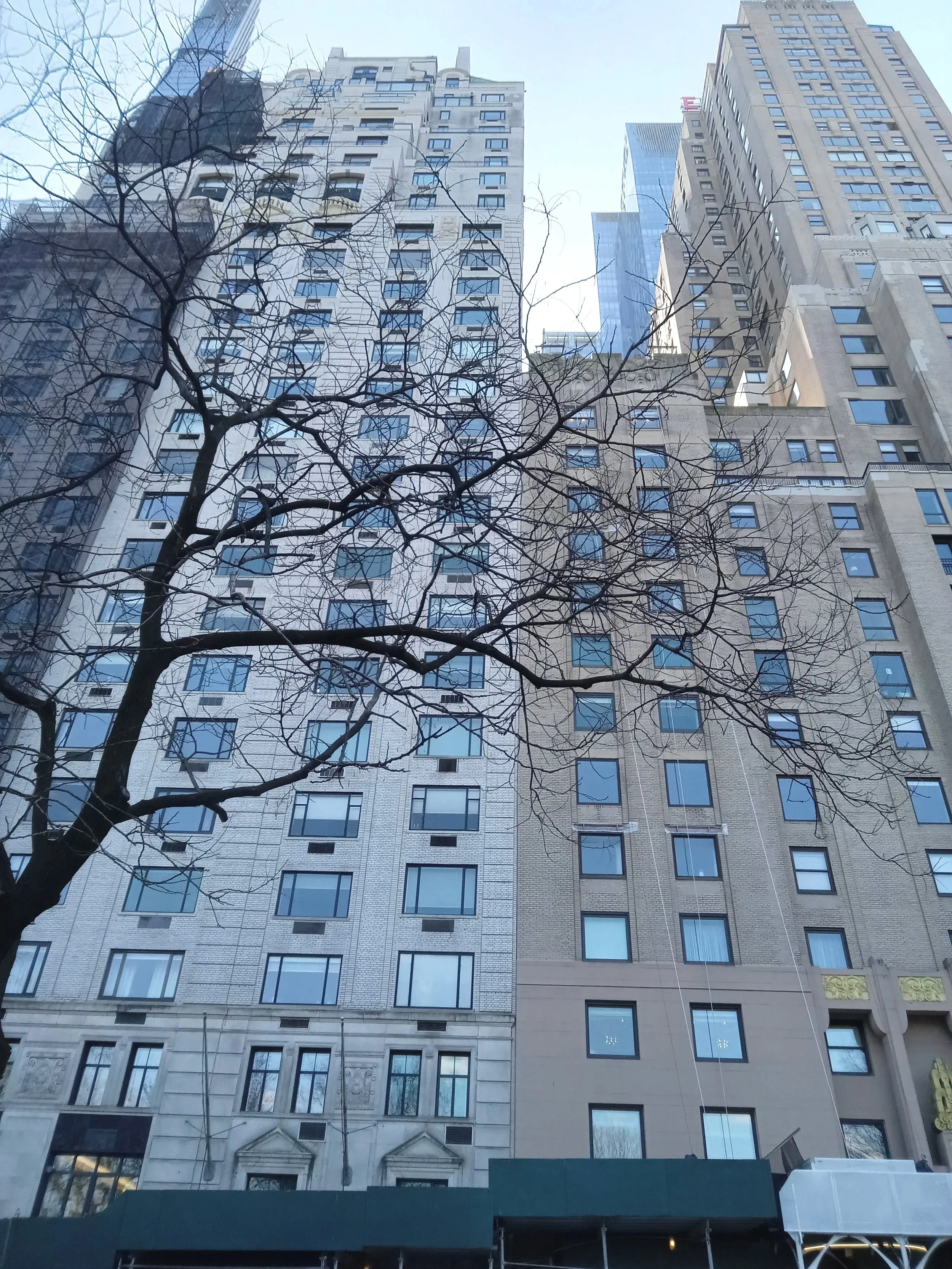 Tall beige and gray buildings with numerous windows, a leafless tree in the foreground, and a clear blue sky.