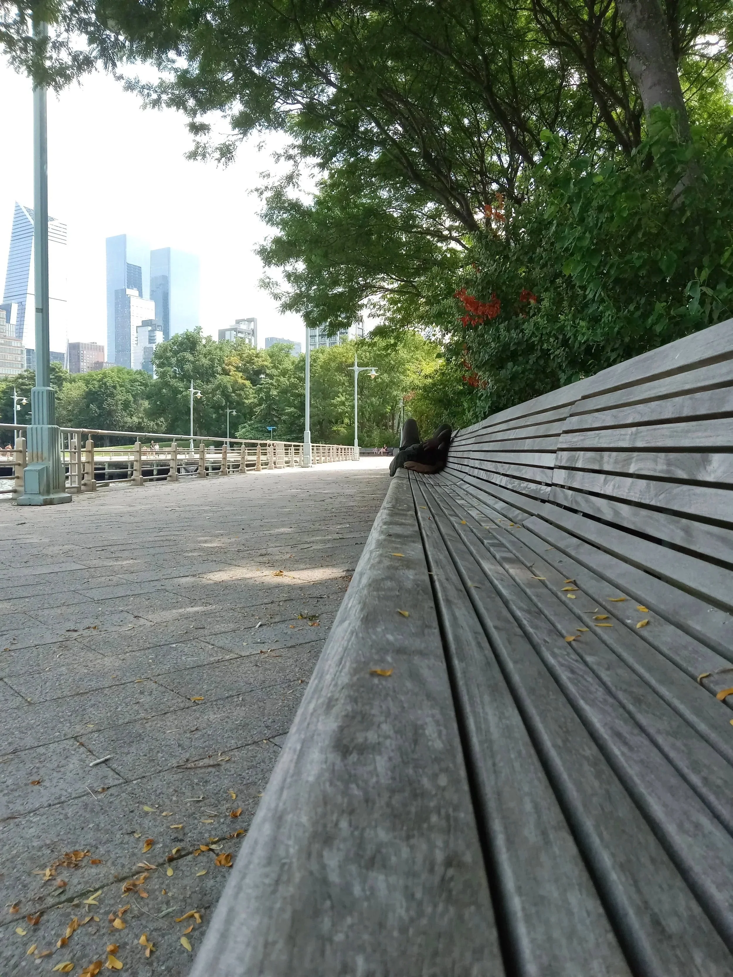 A park with a long wooden bench, trees with green leaves, and a city skyline in the background.
