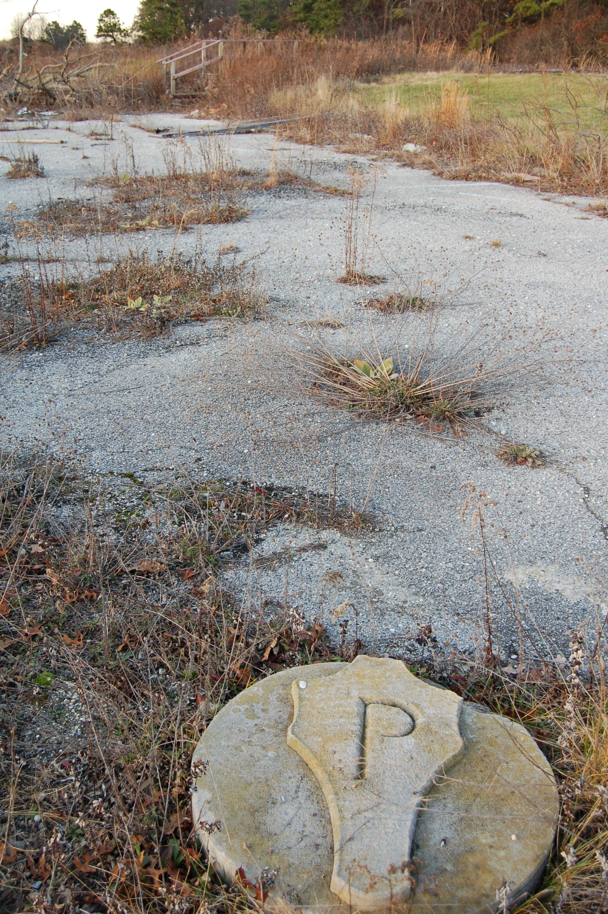 A large, cracked, circular stone with the letter 'P' carved into it. Surrounding it are dry grass, weeds, and desert plants. In the background, there is a cracked pathway with overgrown vegetation and a small wooden bridge.