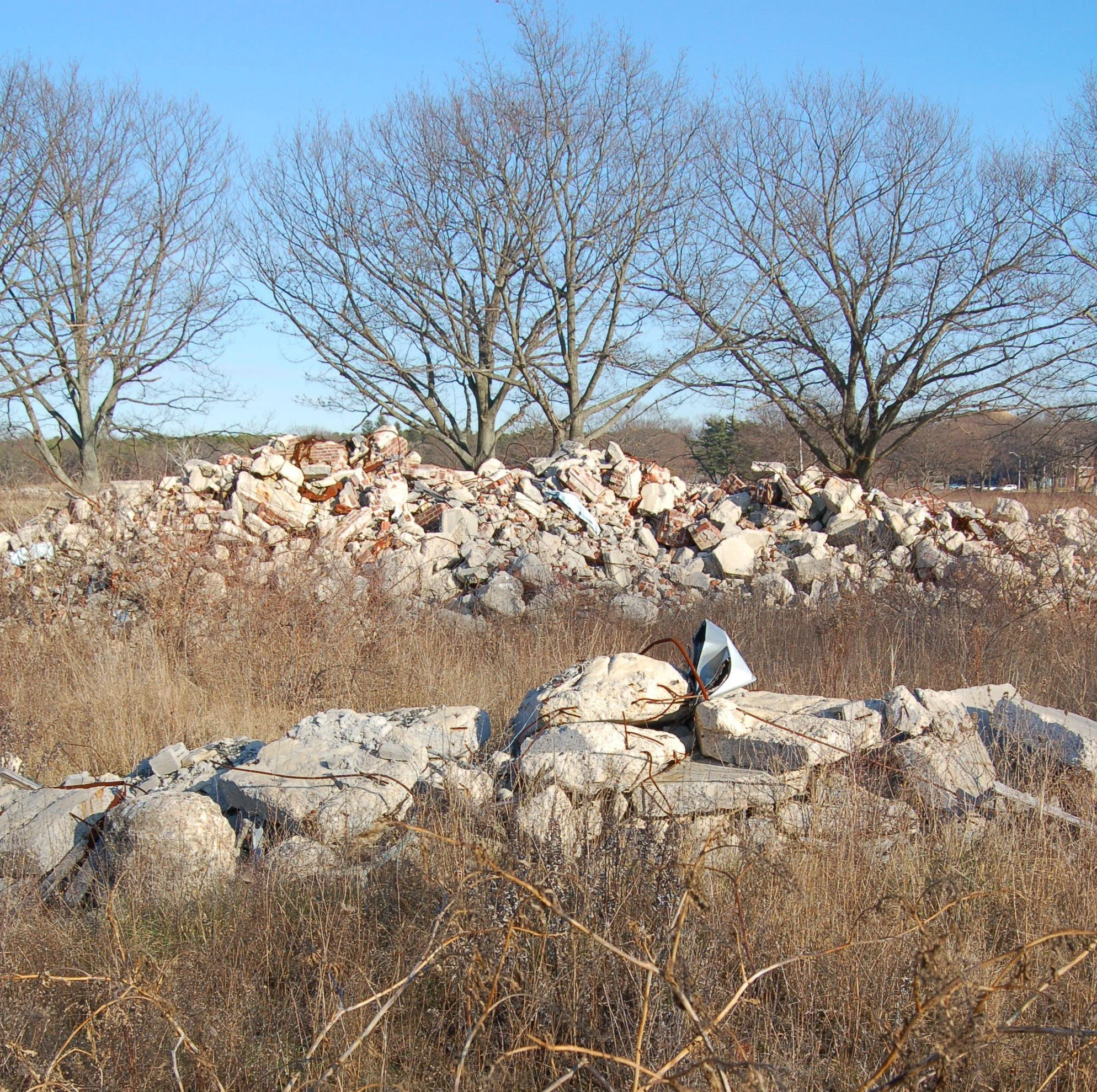 A landscape with leafless trees, a pile of rocks and debris, dry grass and a clear blue sky.
