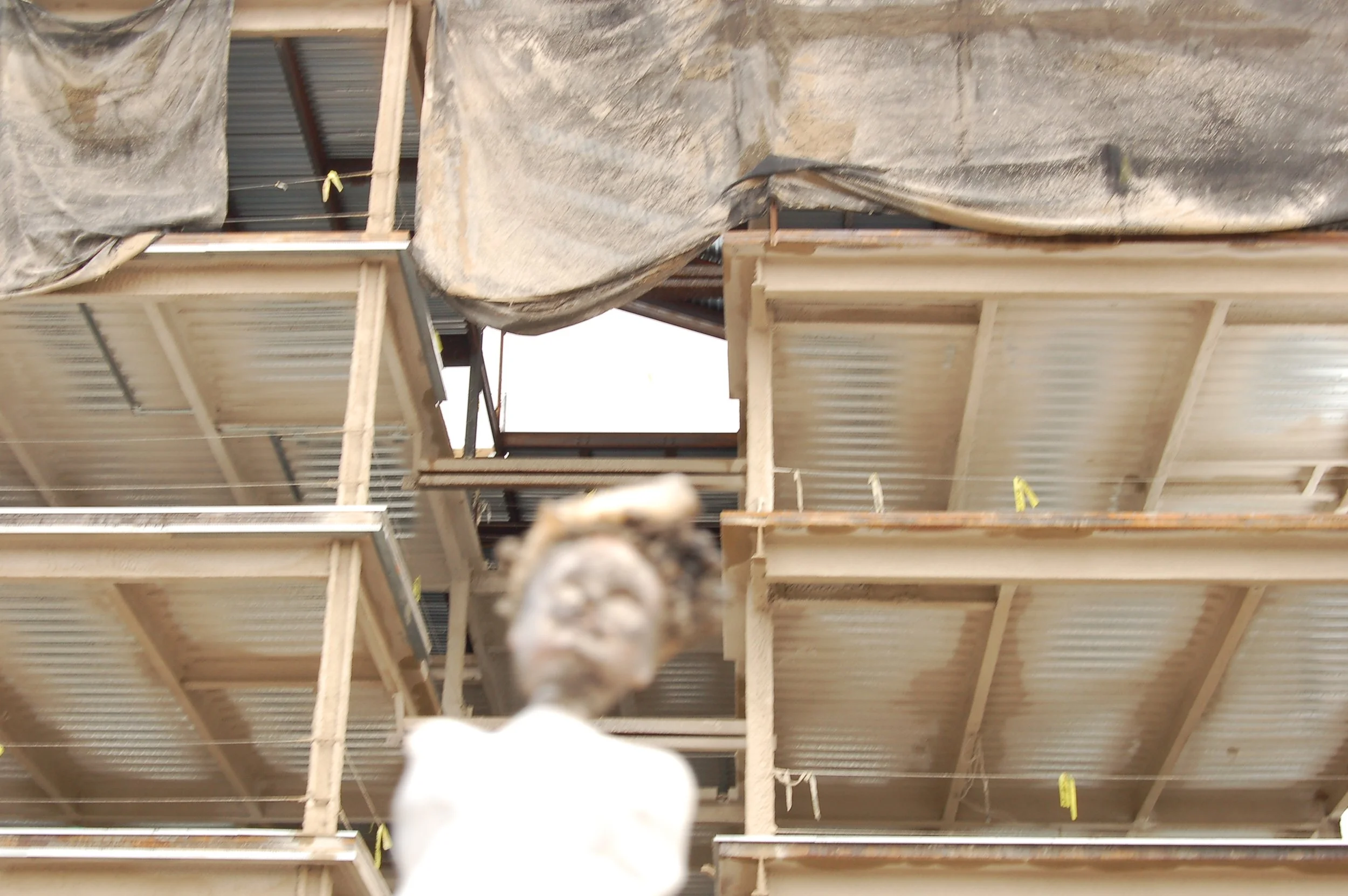 Construction site with wooden framework and metal roof, with a blurry white animal in the foreground.