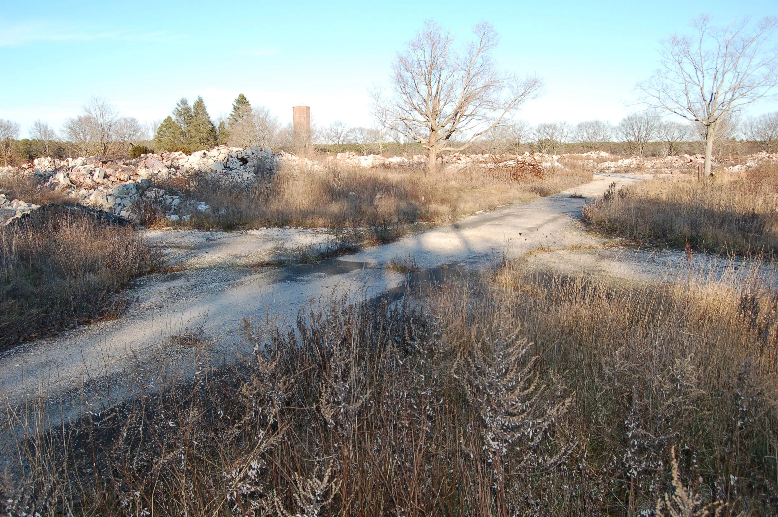 A rural landscape with a dirt path, leafless trees, scattered dry brush, and piles of debris and construction materials in the background, under a clear blue sky.